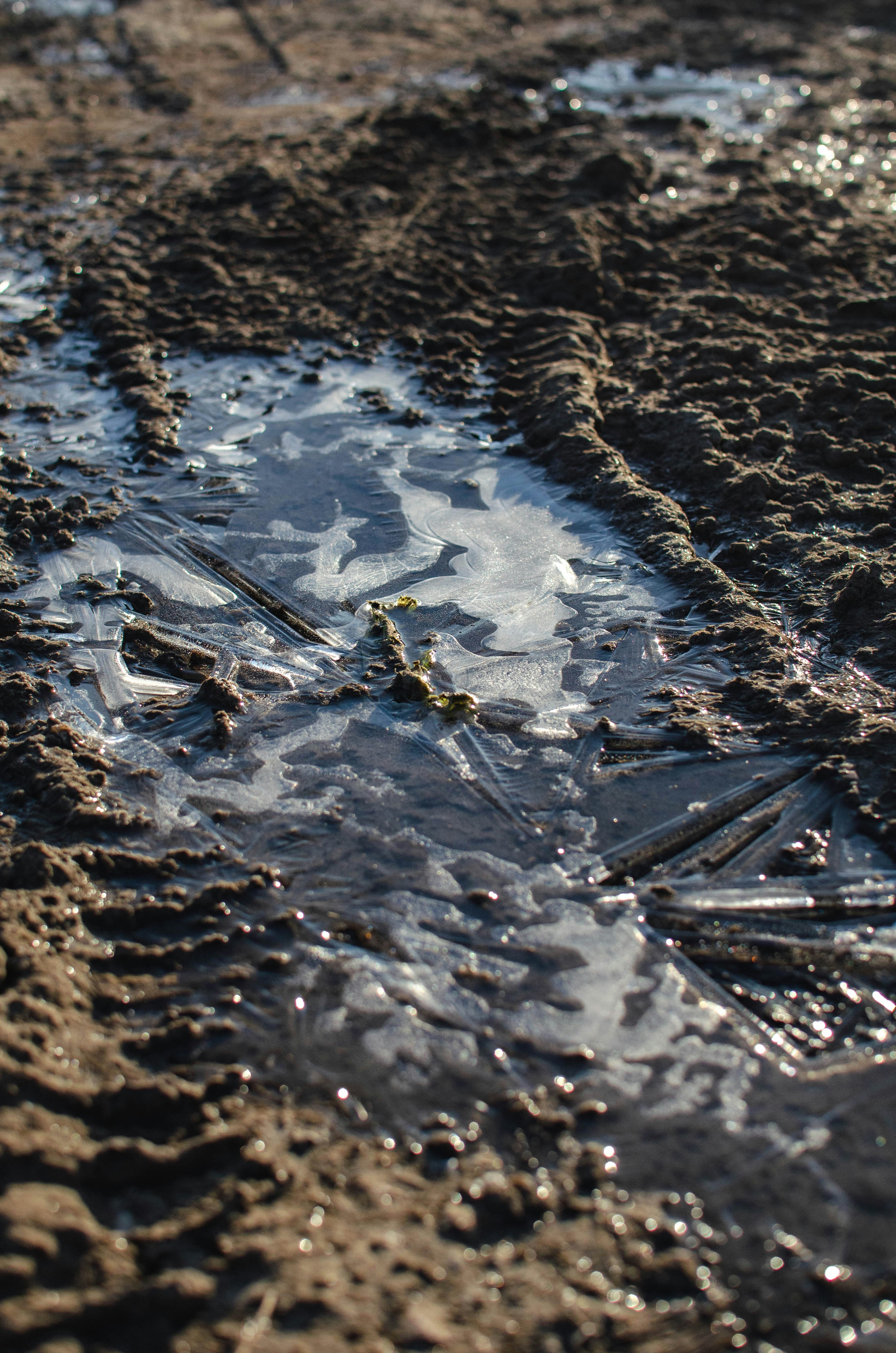 a puddle of water on a sandy beach