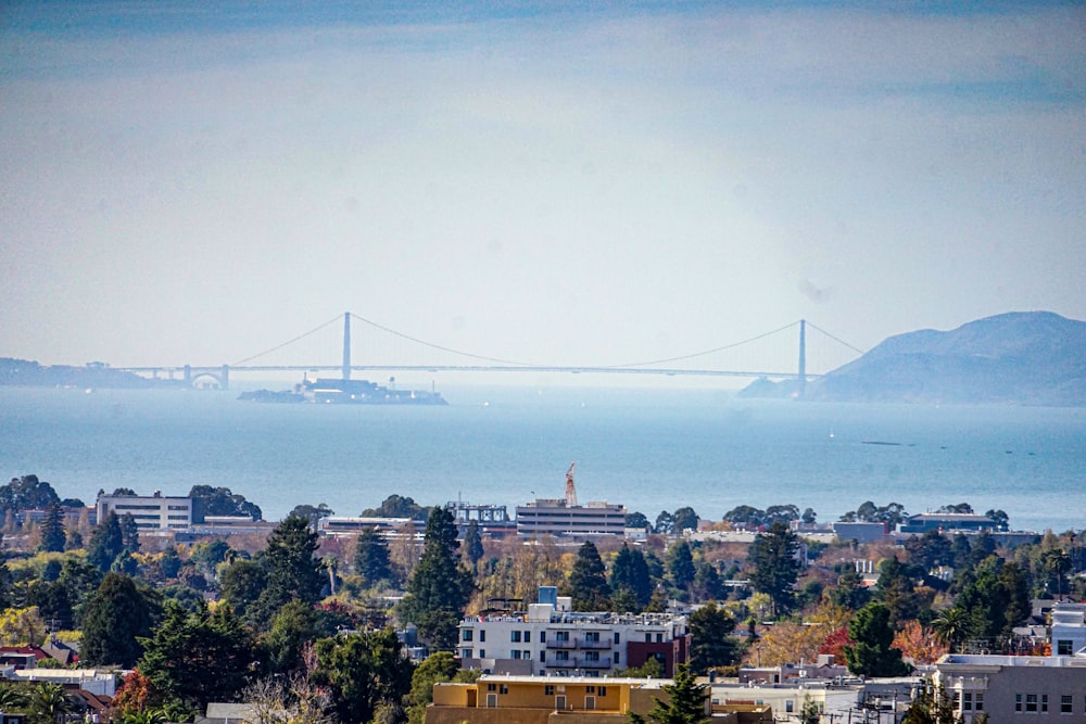 a view of the bay bridge from a hill