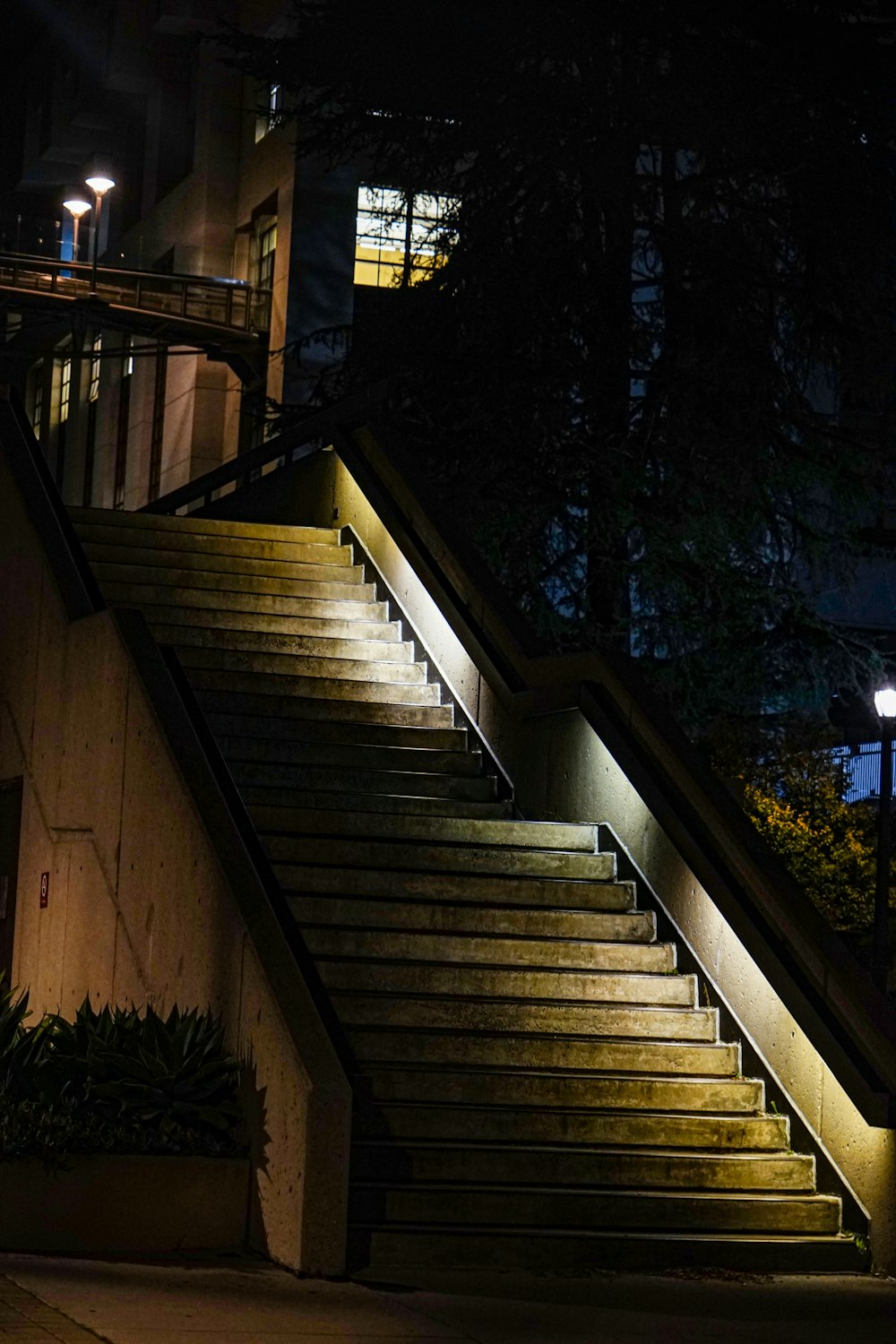 a set of stairs lit up at night