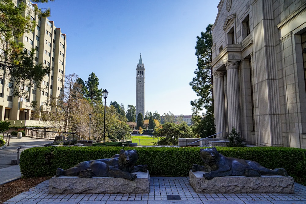 a clock tower towering over a lush green park