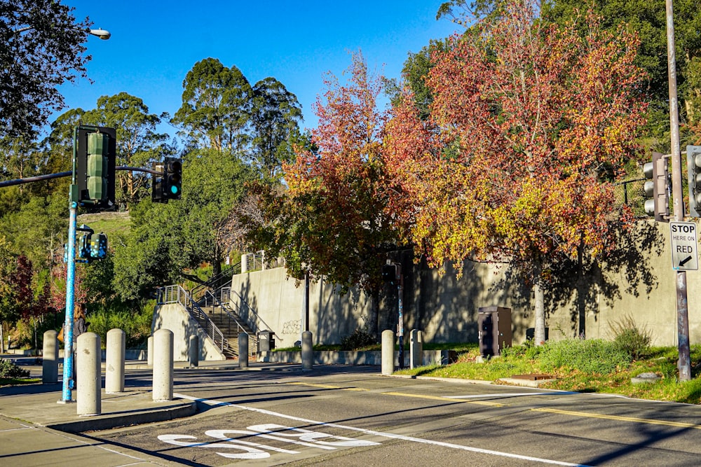 a street corner with a traffic light and trees