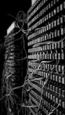 A close-up view of two stacks of old electrical components with numerous tangled wires connected to them. The image presents a complex and intricate pattern of cables that weave in and out of grid-like structures, suggesting an antiquated or retro technology setup. The black and white color scheme adds a dramatic and historical feel to the scene.