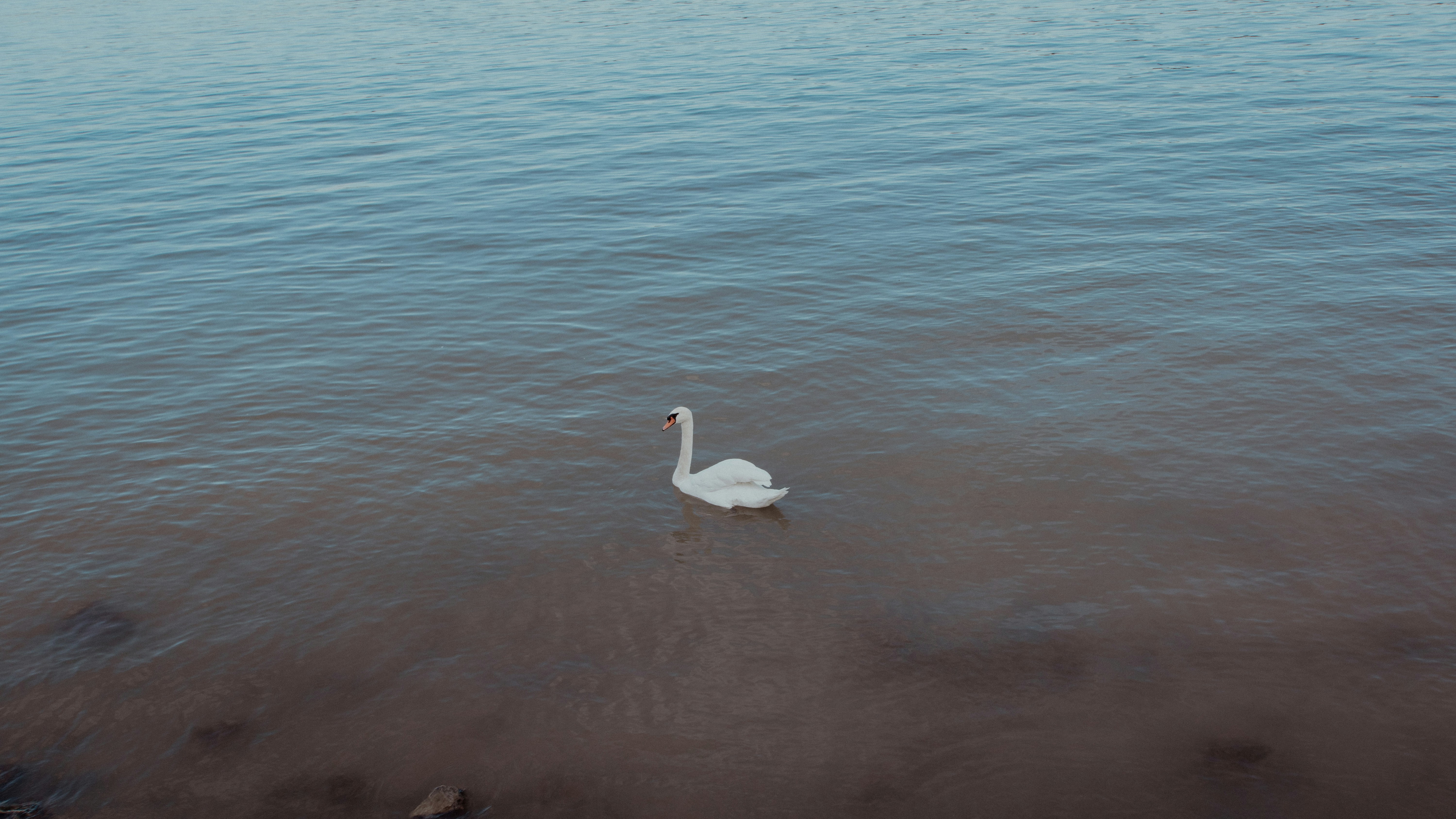 Photo by milica_spasojevic