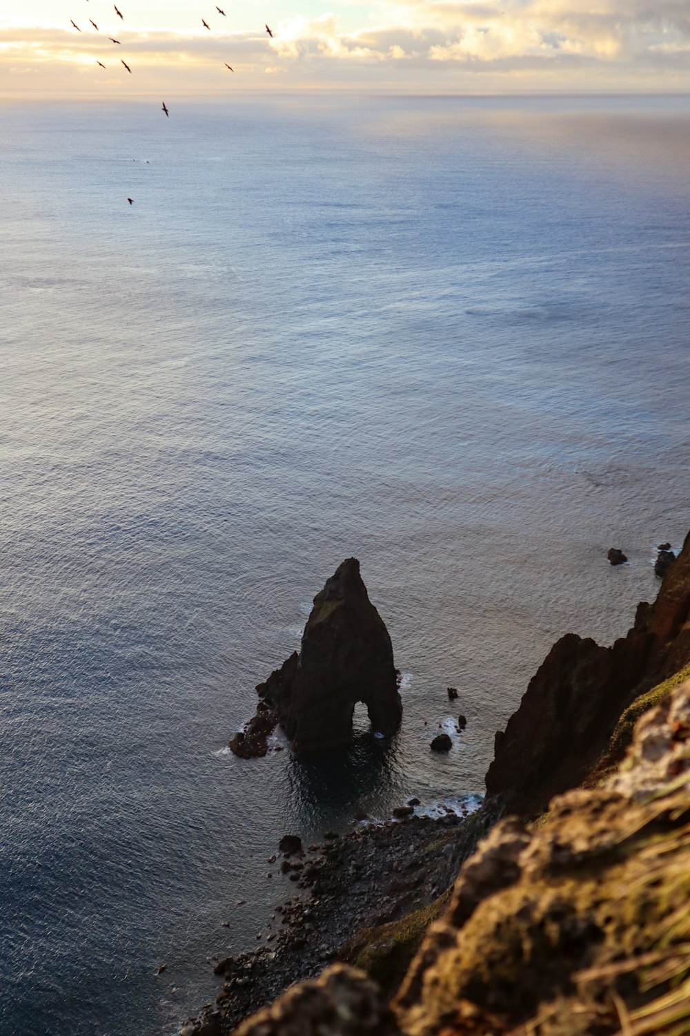 a group of birds flying over a body of water