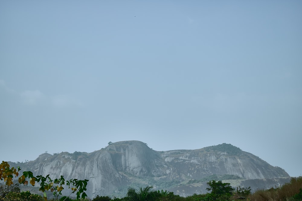 a view of a mountain with trees in the foreground