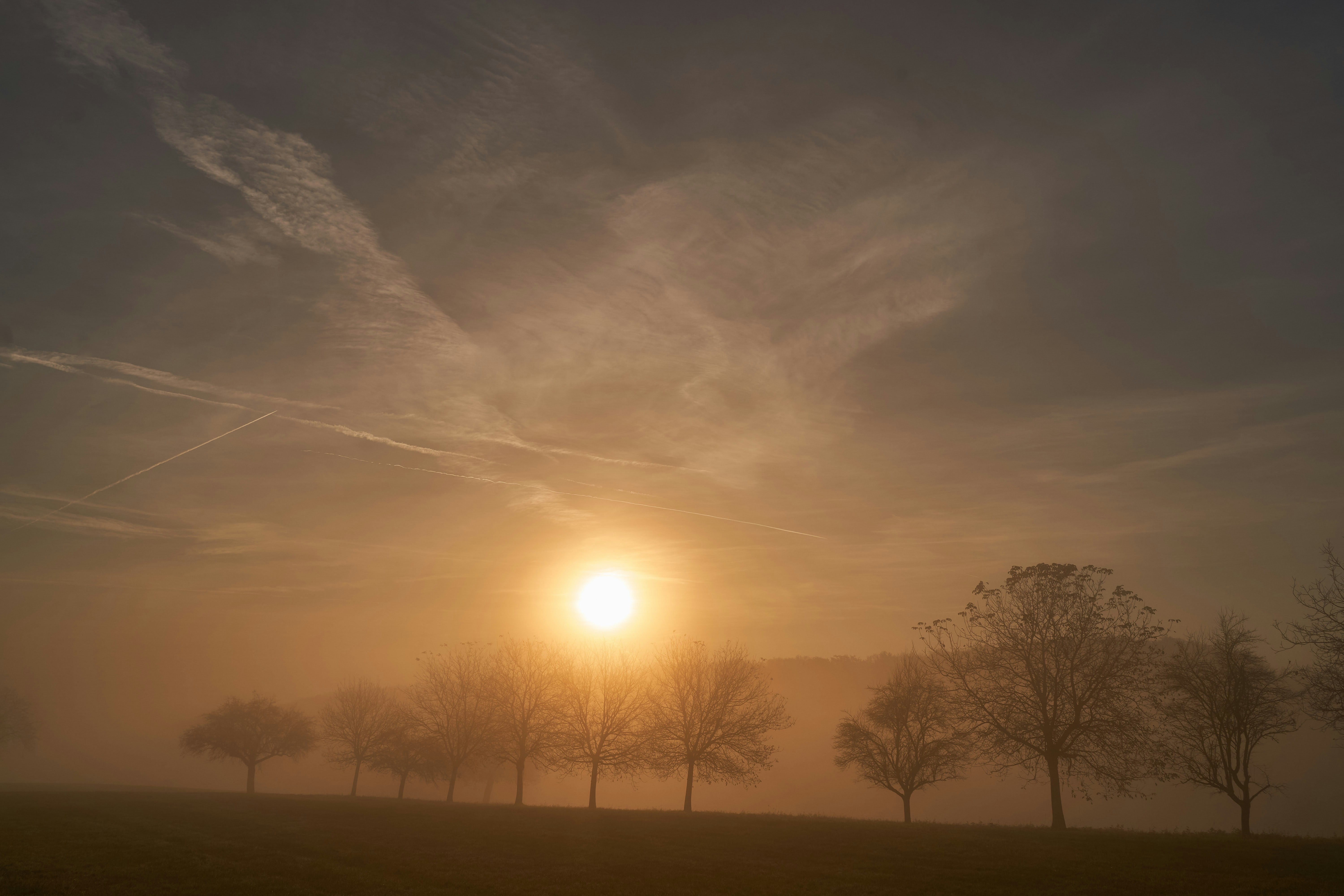 Photo by wolfgang_hasselmann