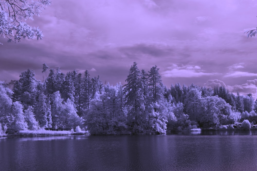a lake surrounded by trees under a cloudy sky