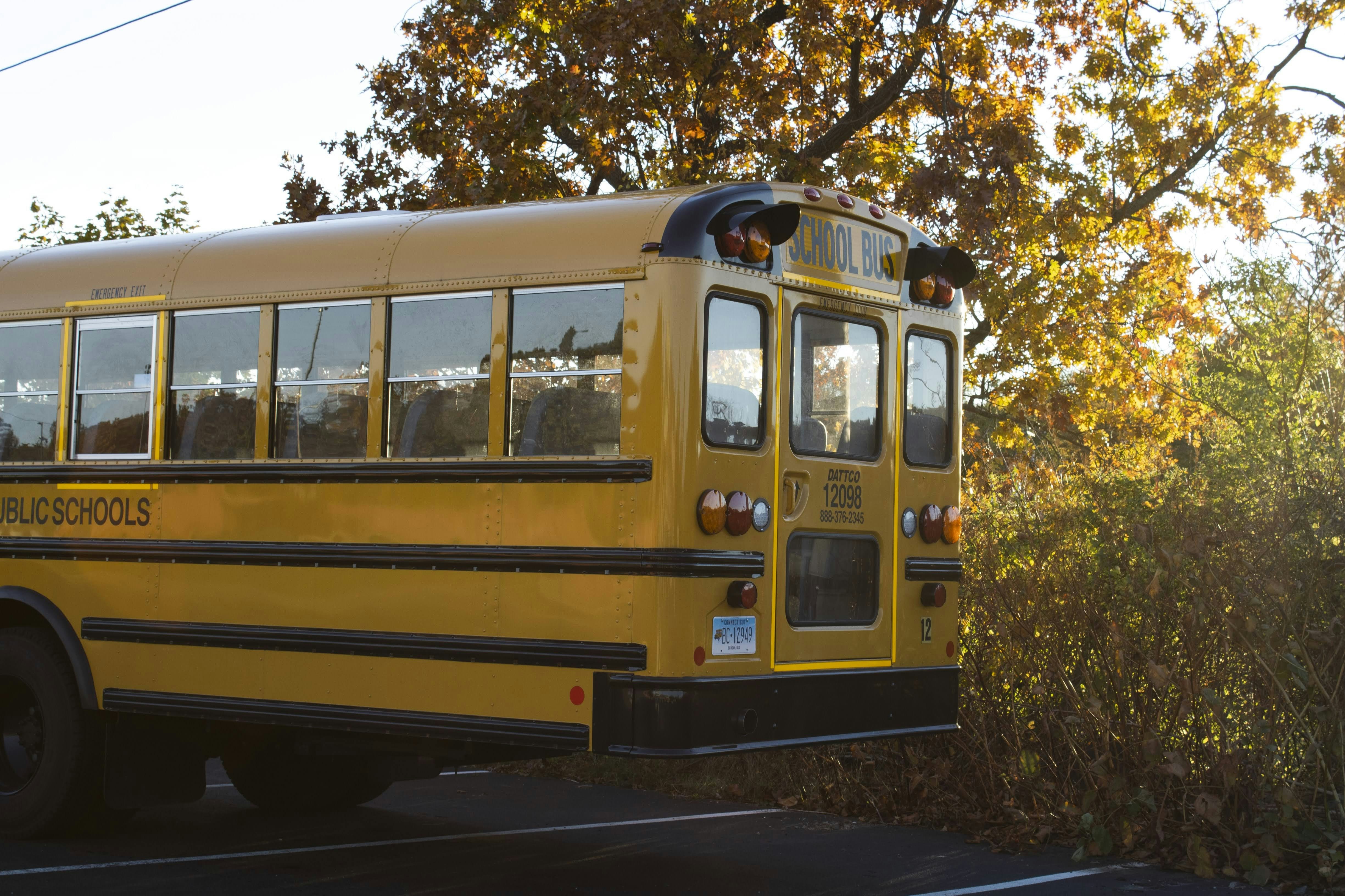 Photo by sebastianmorellipeyton