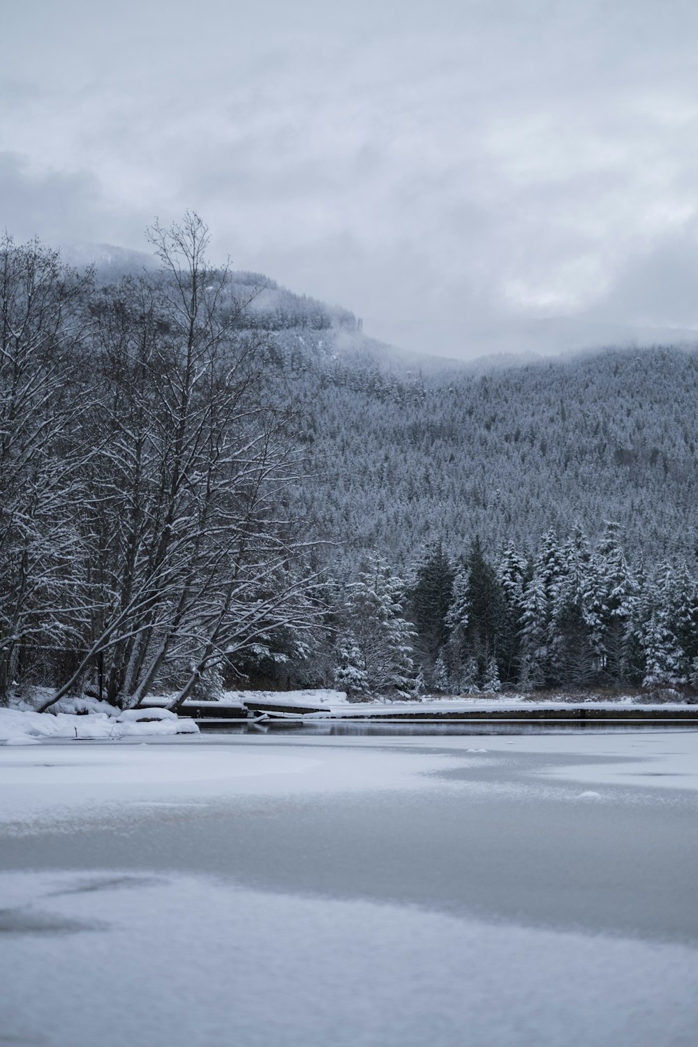 a lake surrounded by trees covered in snow