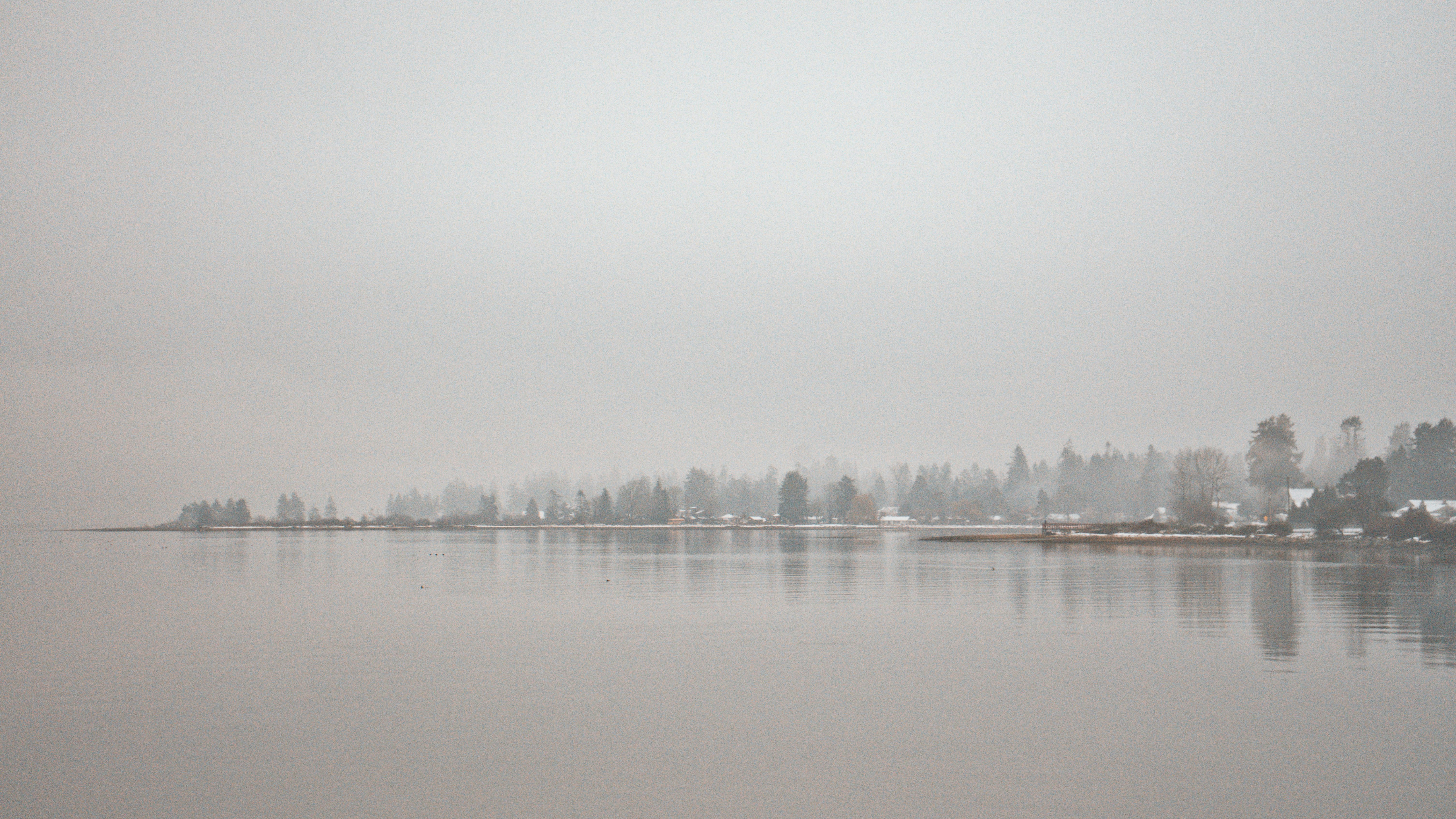 a body of water surrounded by trees on a foggy day, 
