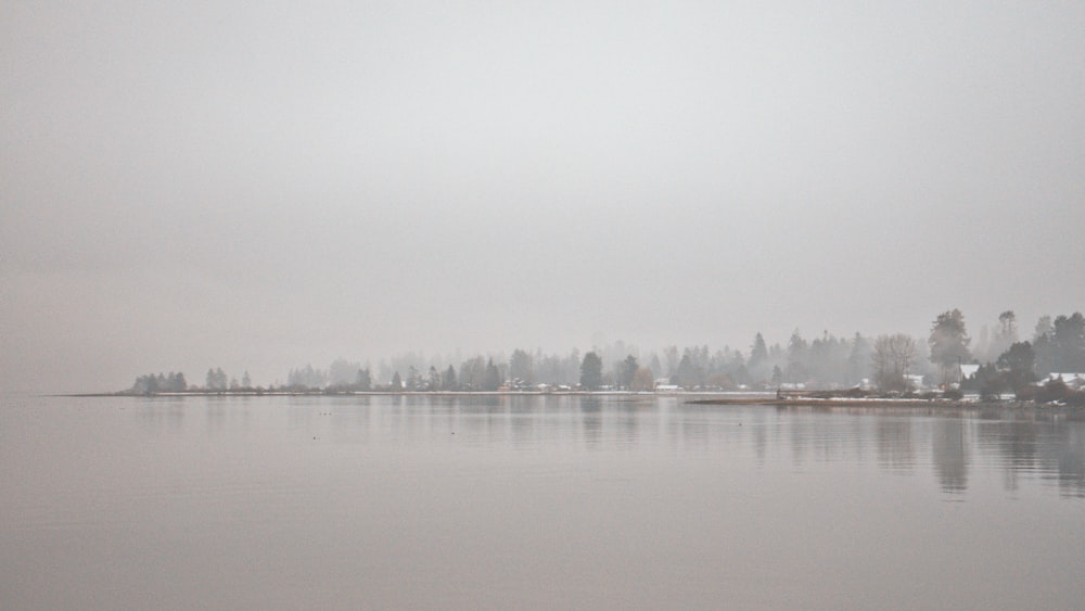 a body of water surrounded by trees on a foggy day