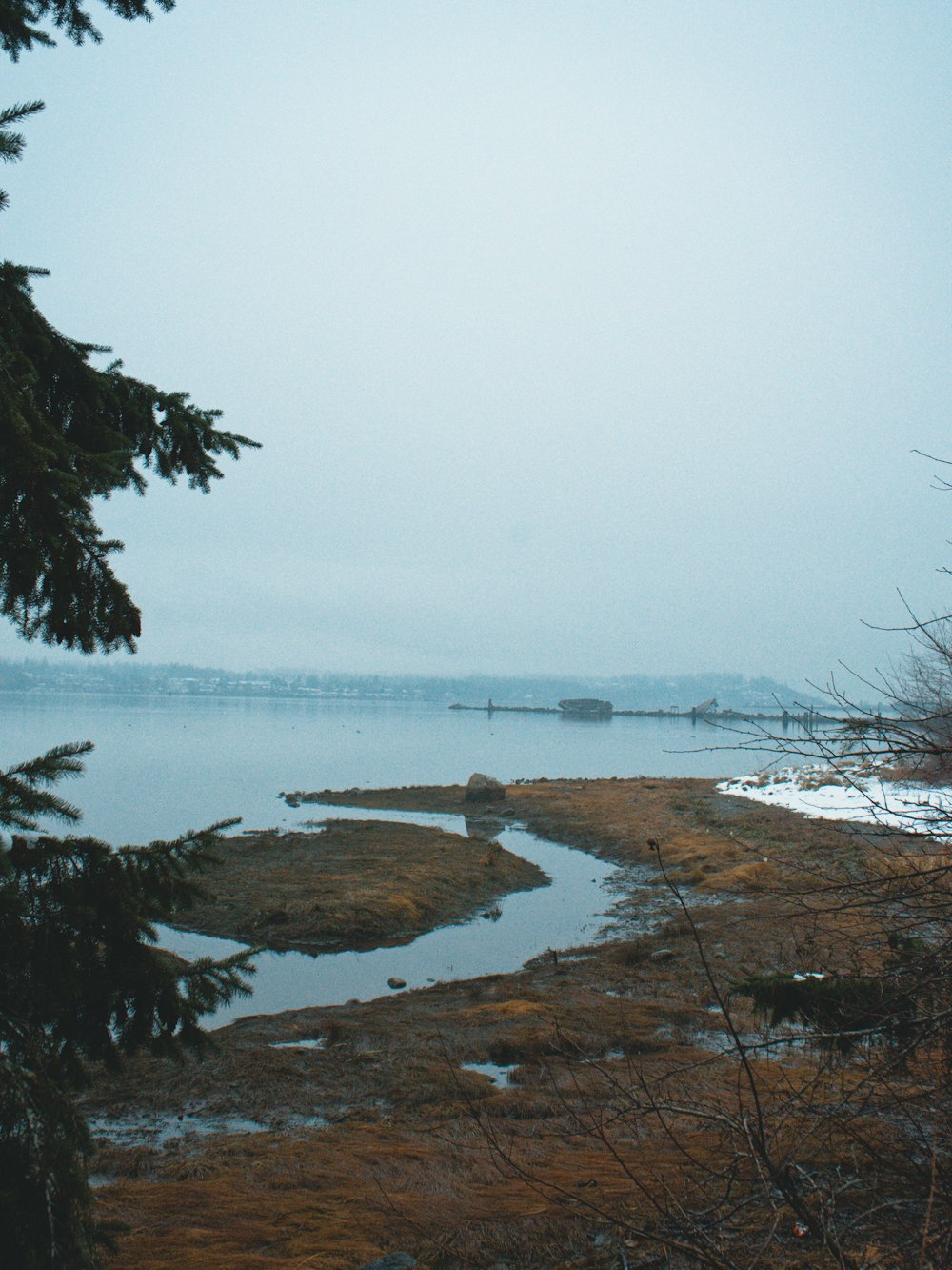 a body of water surrounded by trees and snow