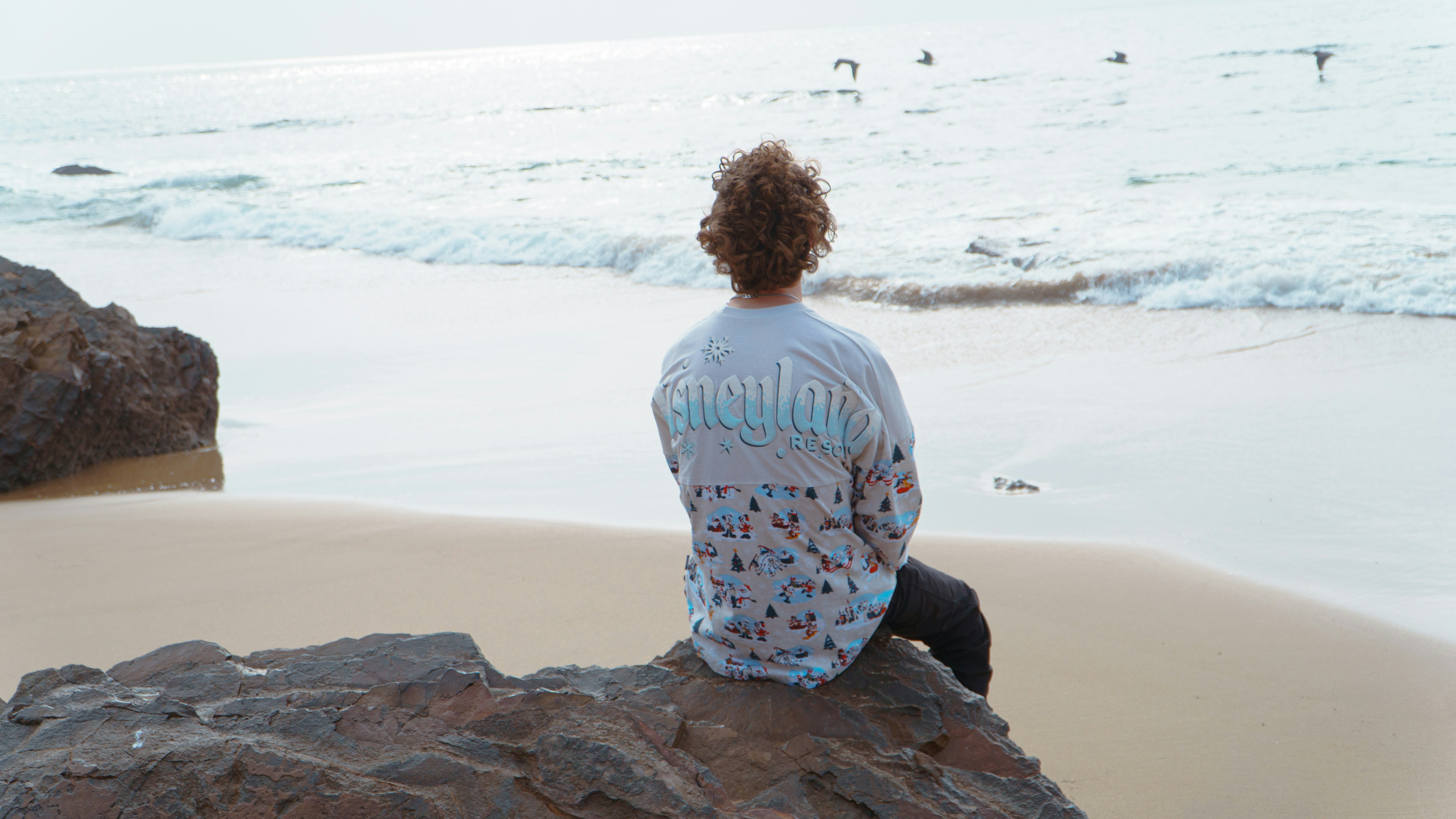 A person sitting on a rock looking out at the ocean photo – Free Beach ...