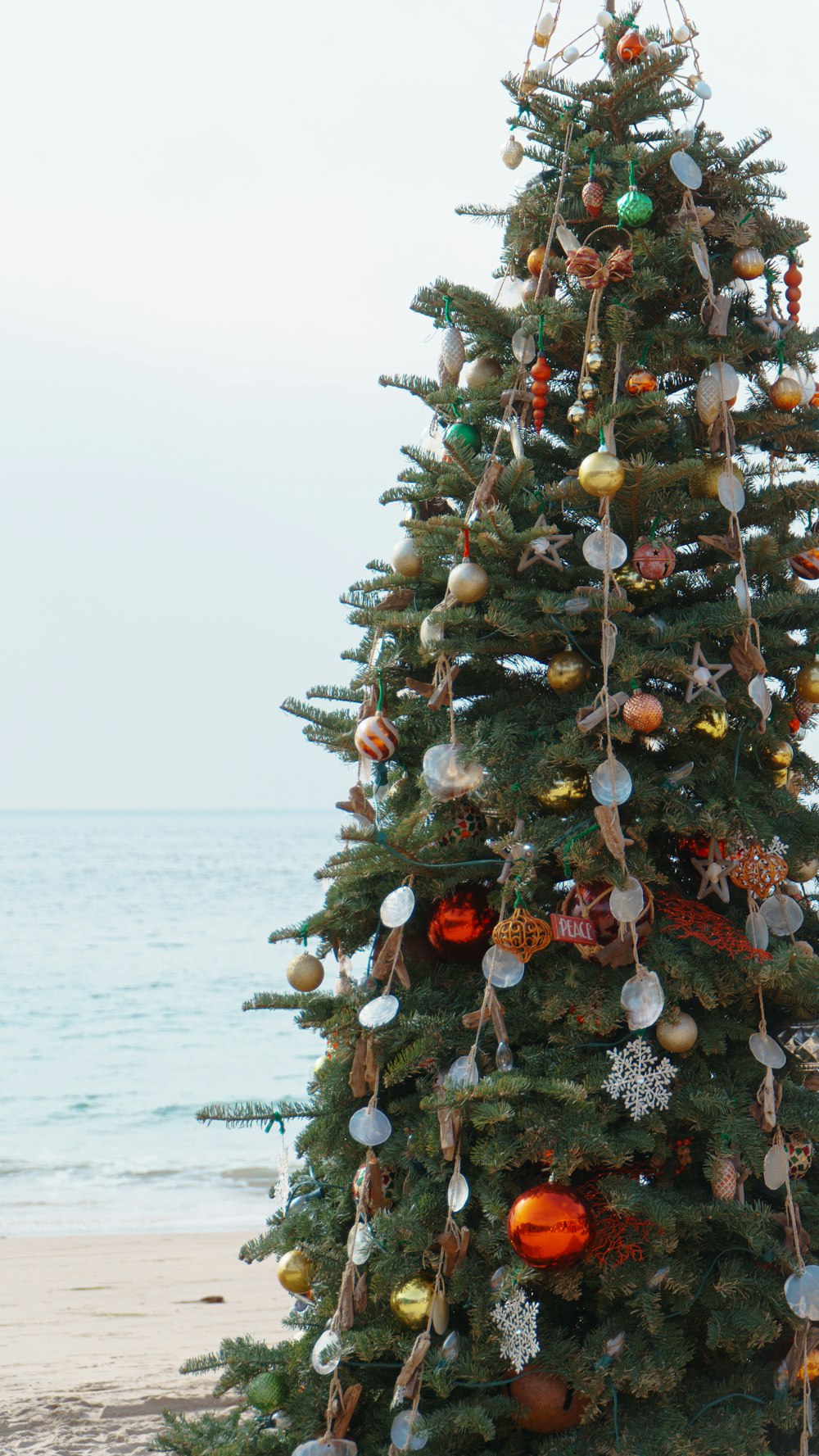 a decorated christmas tree on the beach with the ocean in the background