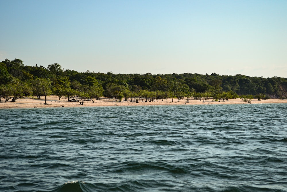 a view of a beach with trees in the background
