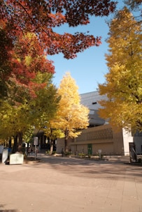 a city street with lots of trees and a building in the background
