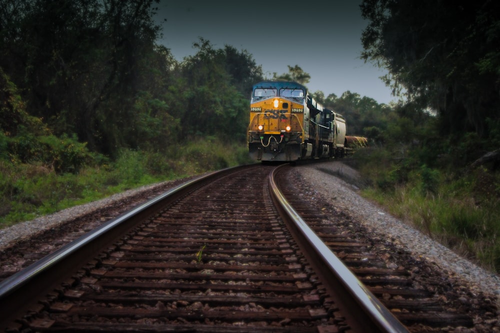 a train traveling through a lush green forest