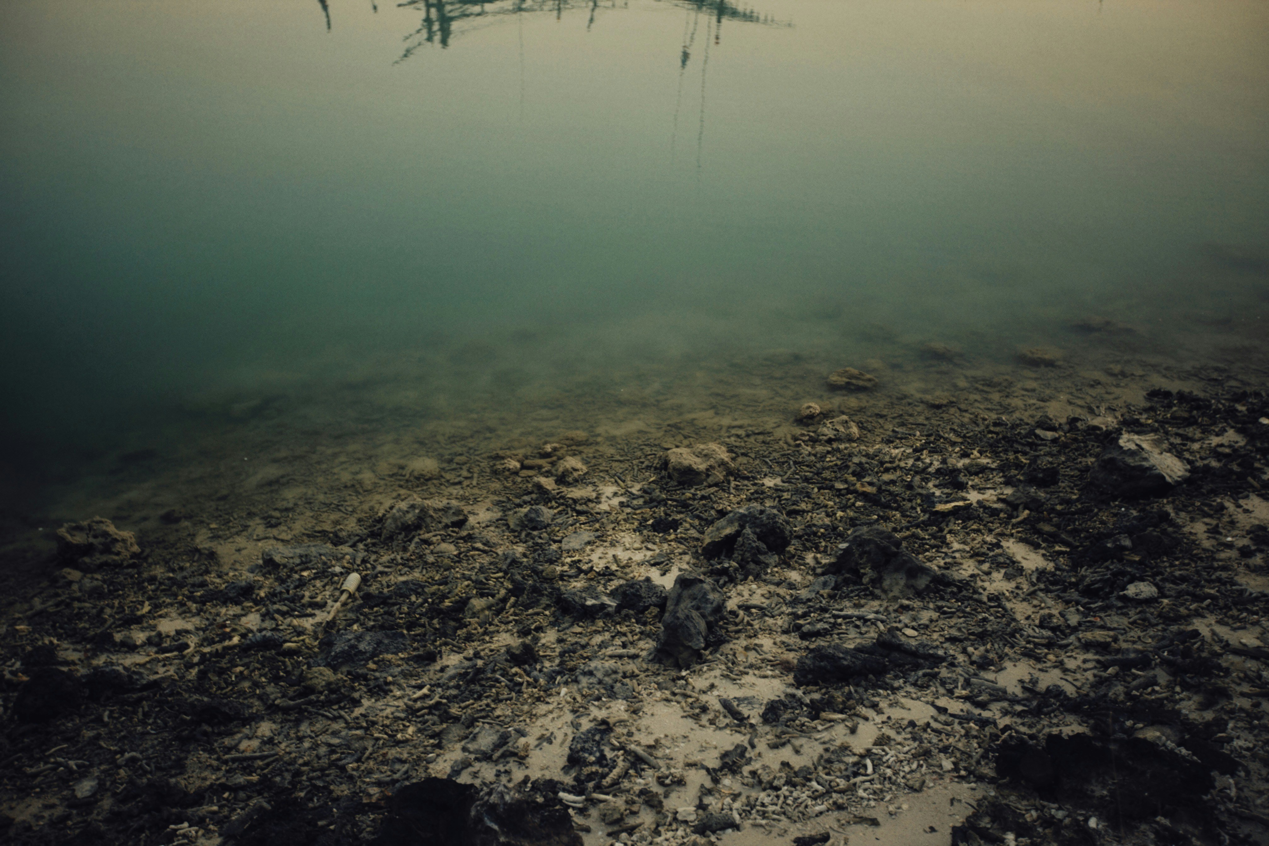 Photo by alexeydemidov