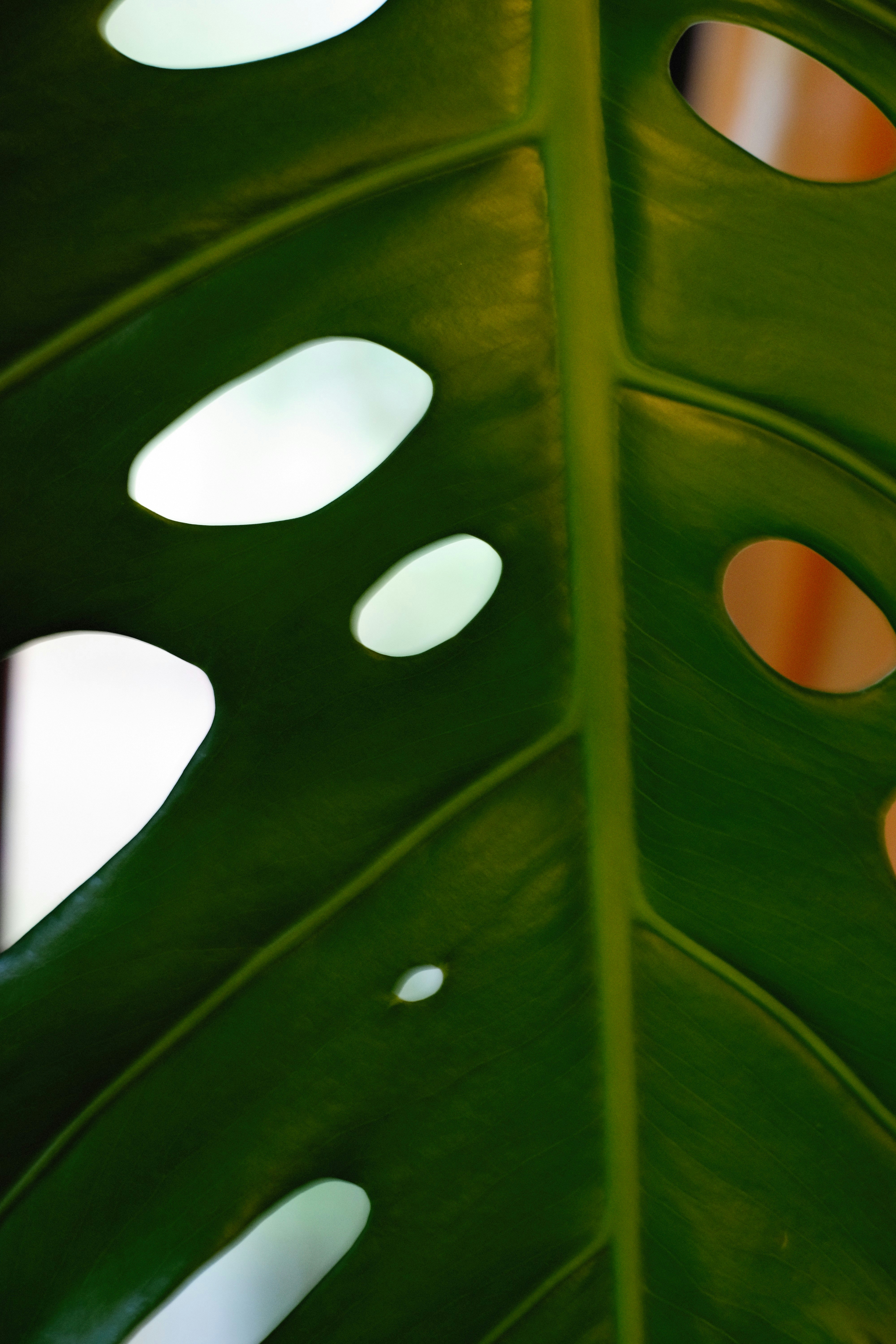 Photo by alexeydemidov