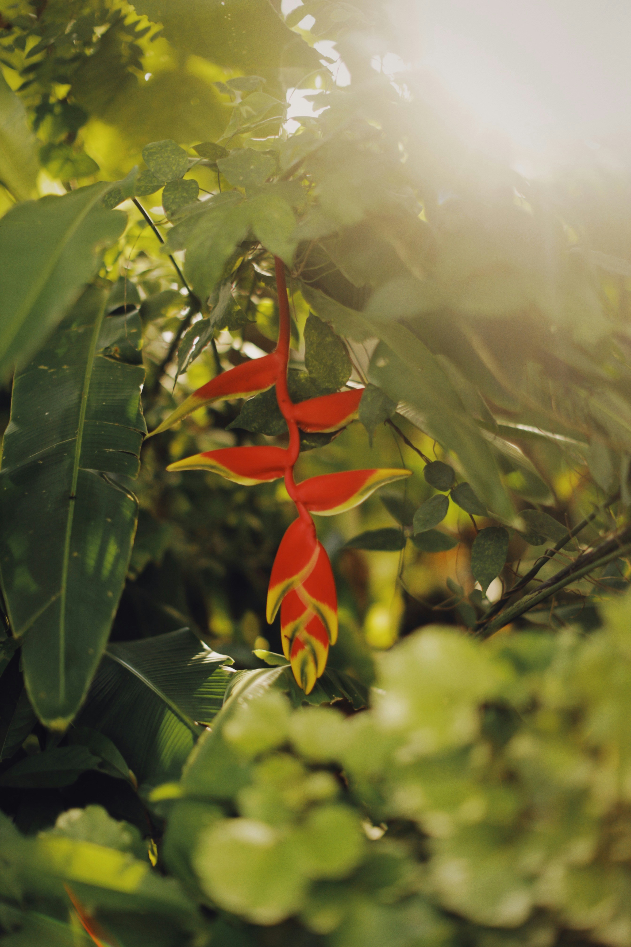 Photo by alexeydemidov