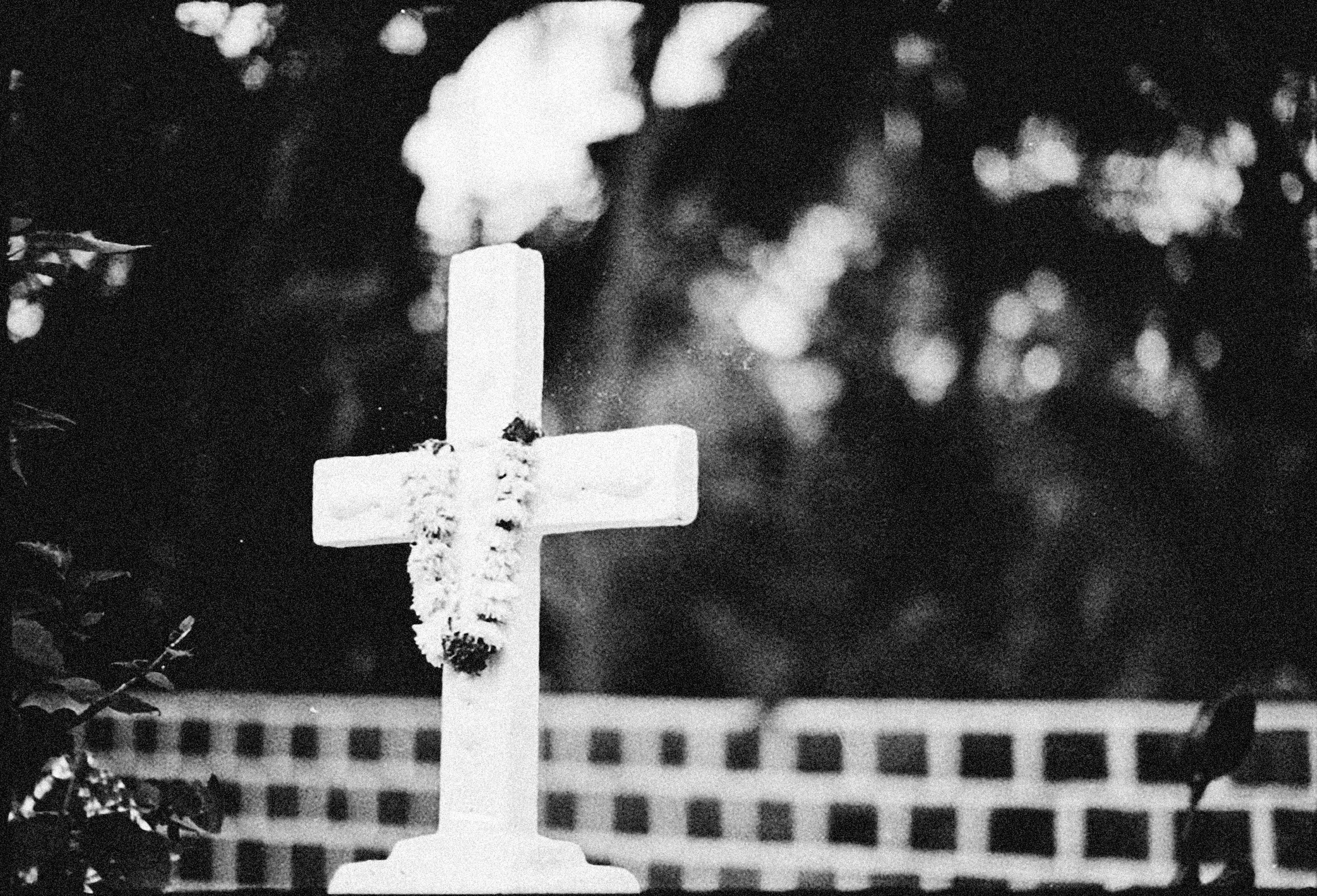 Photo by alexeydemidov