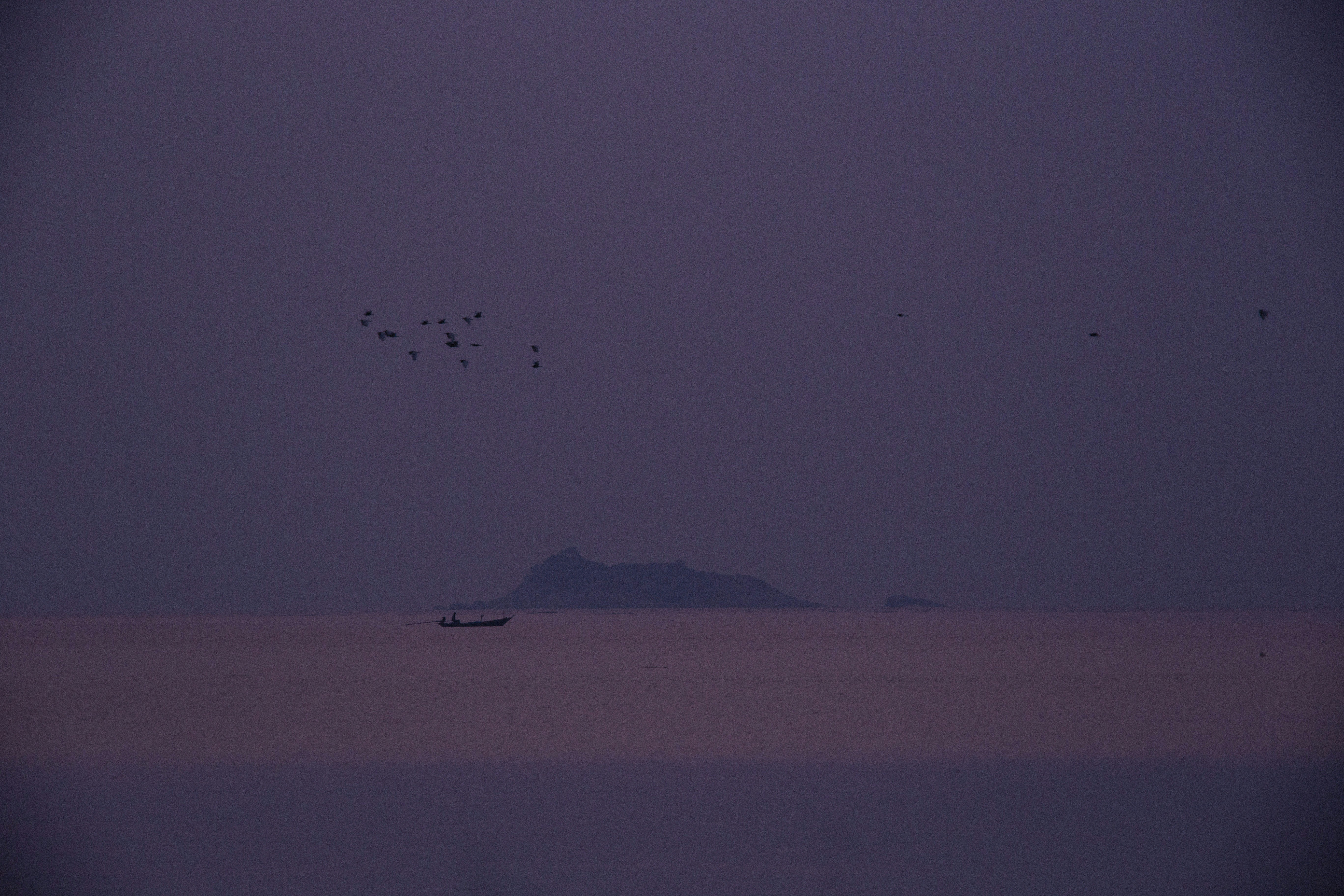 A flock of birds flying over a large body of water photo – Free Grey ...