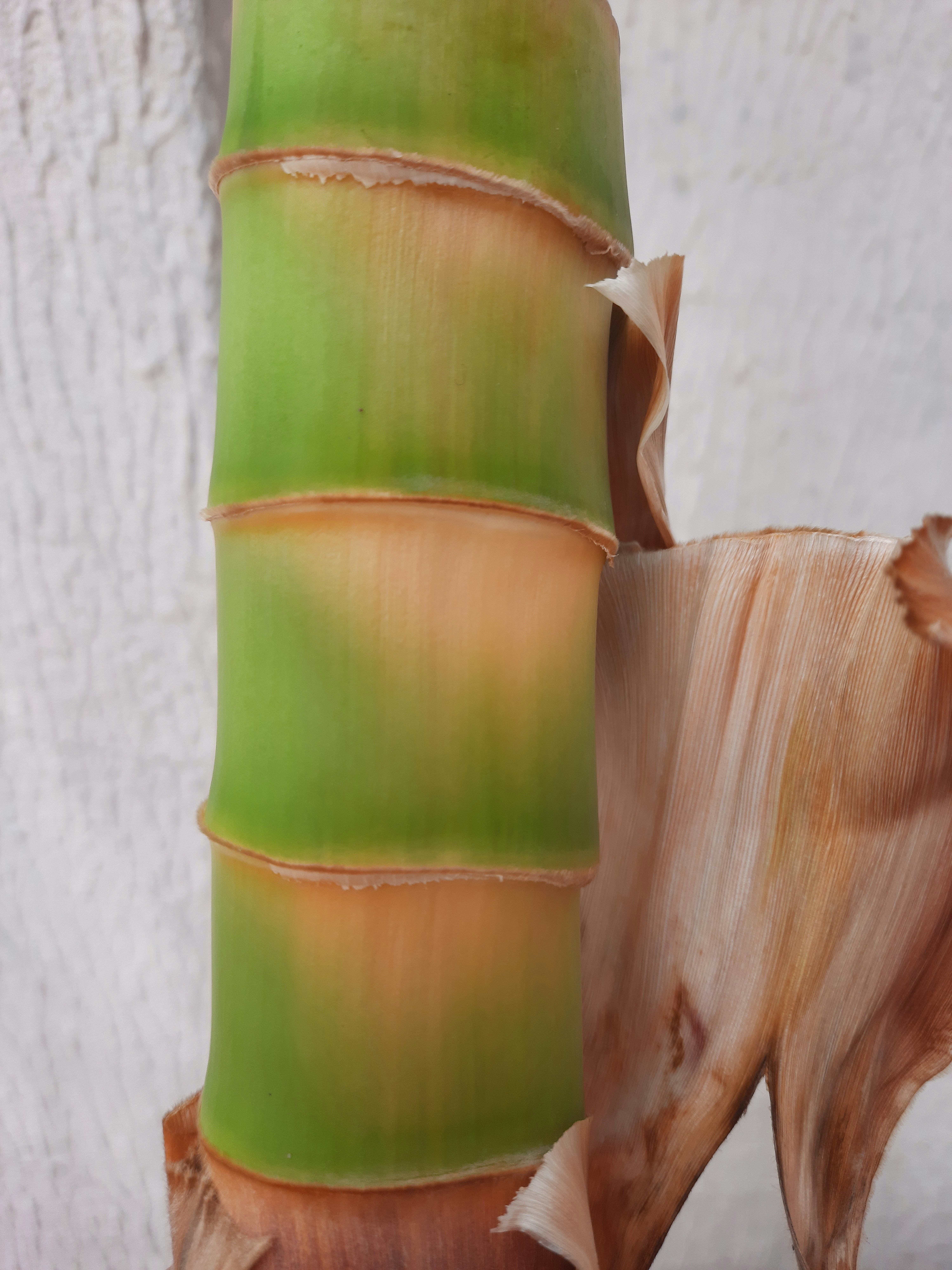 a close up of a green vase on a table
