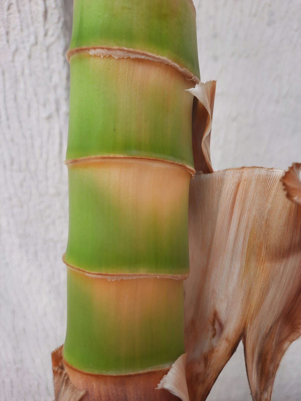 a close up of a green vase on a table