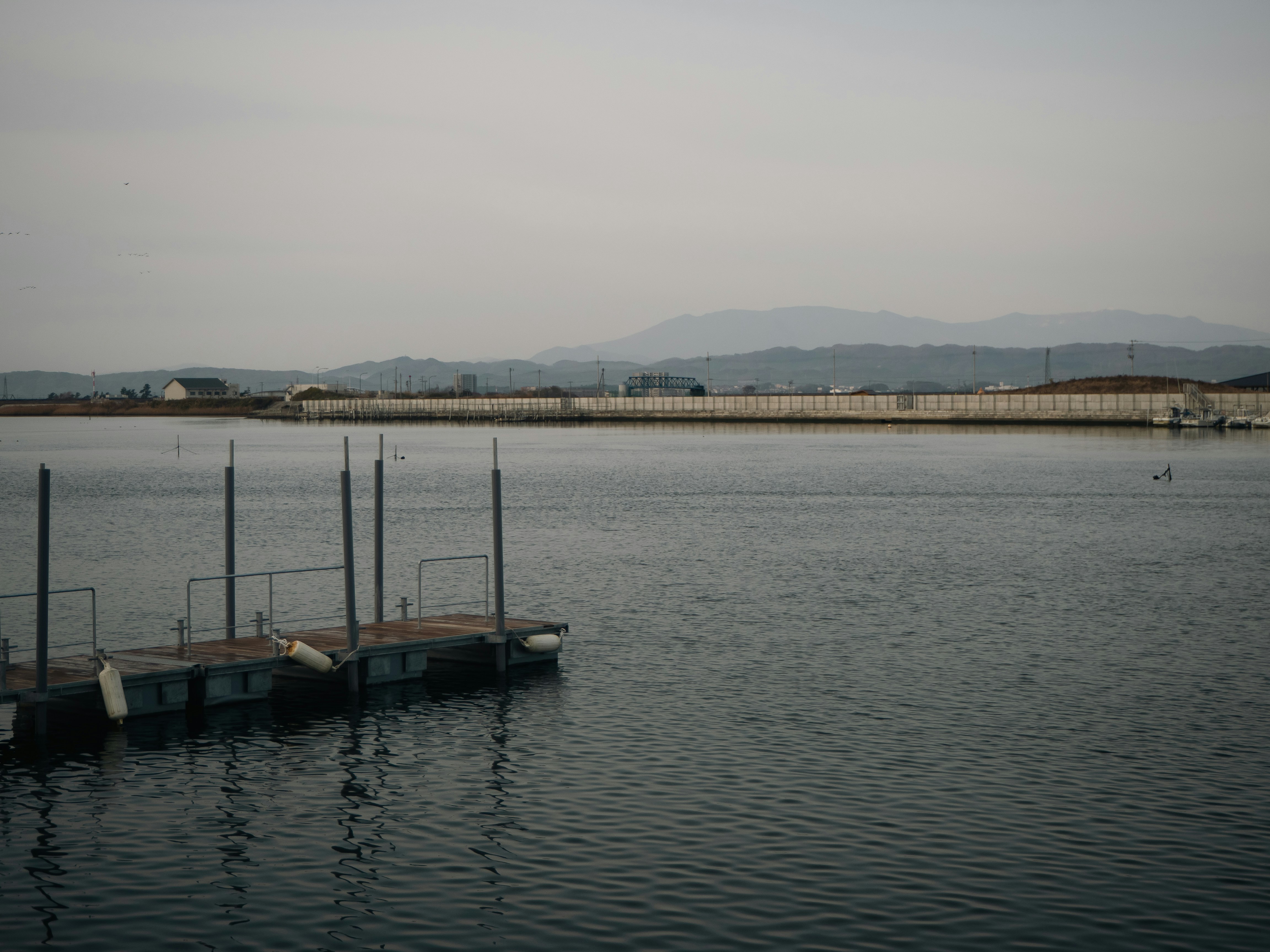 Photo by 81687e