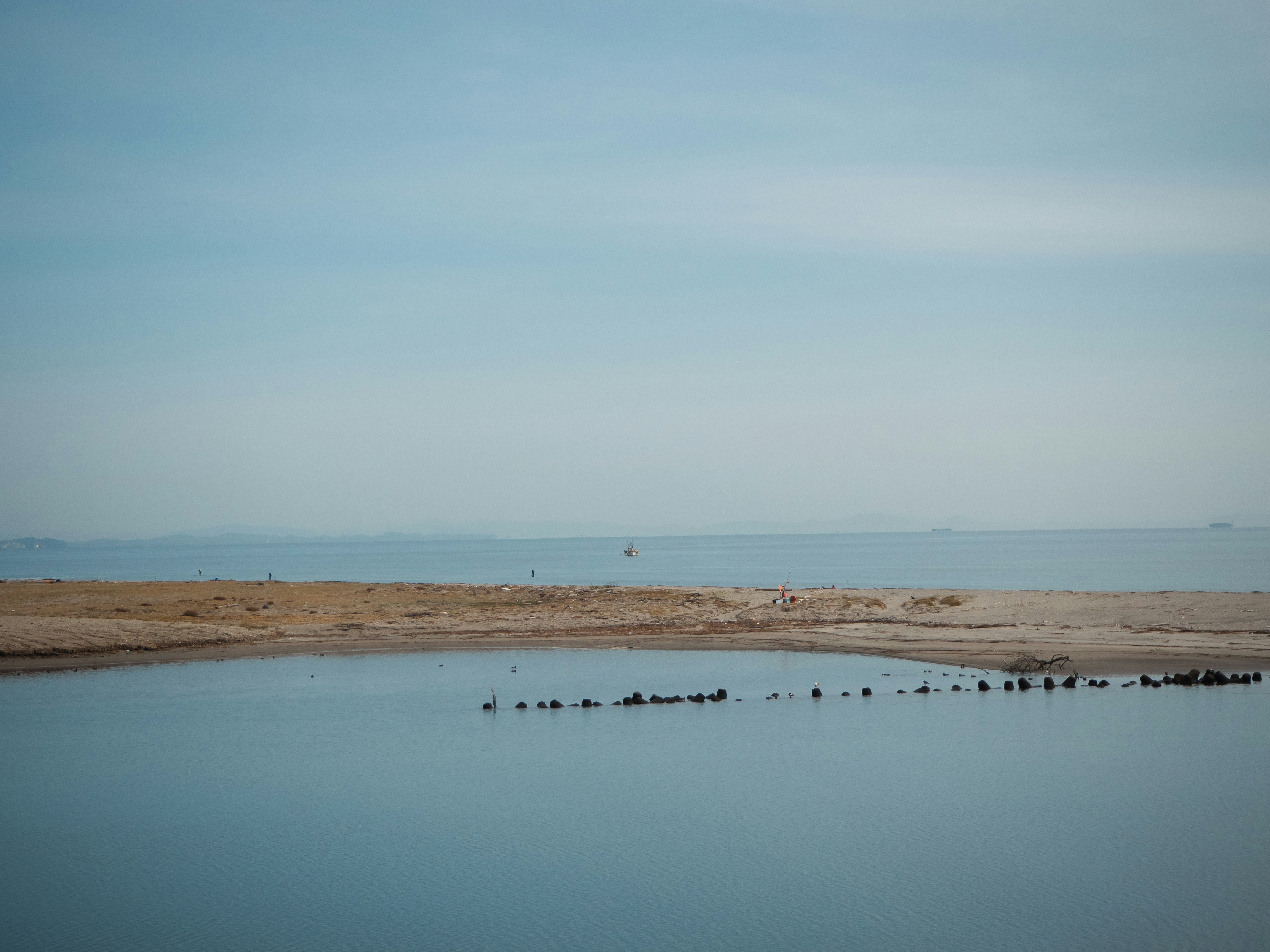 a large body of water with ducks floating in it