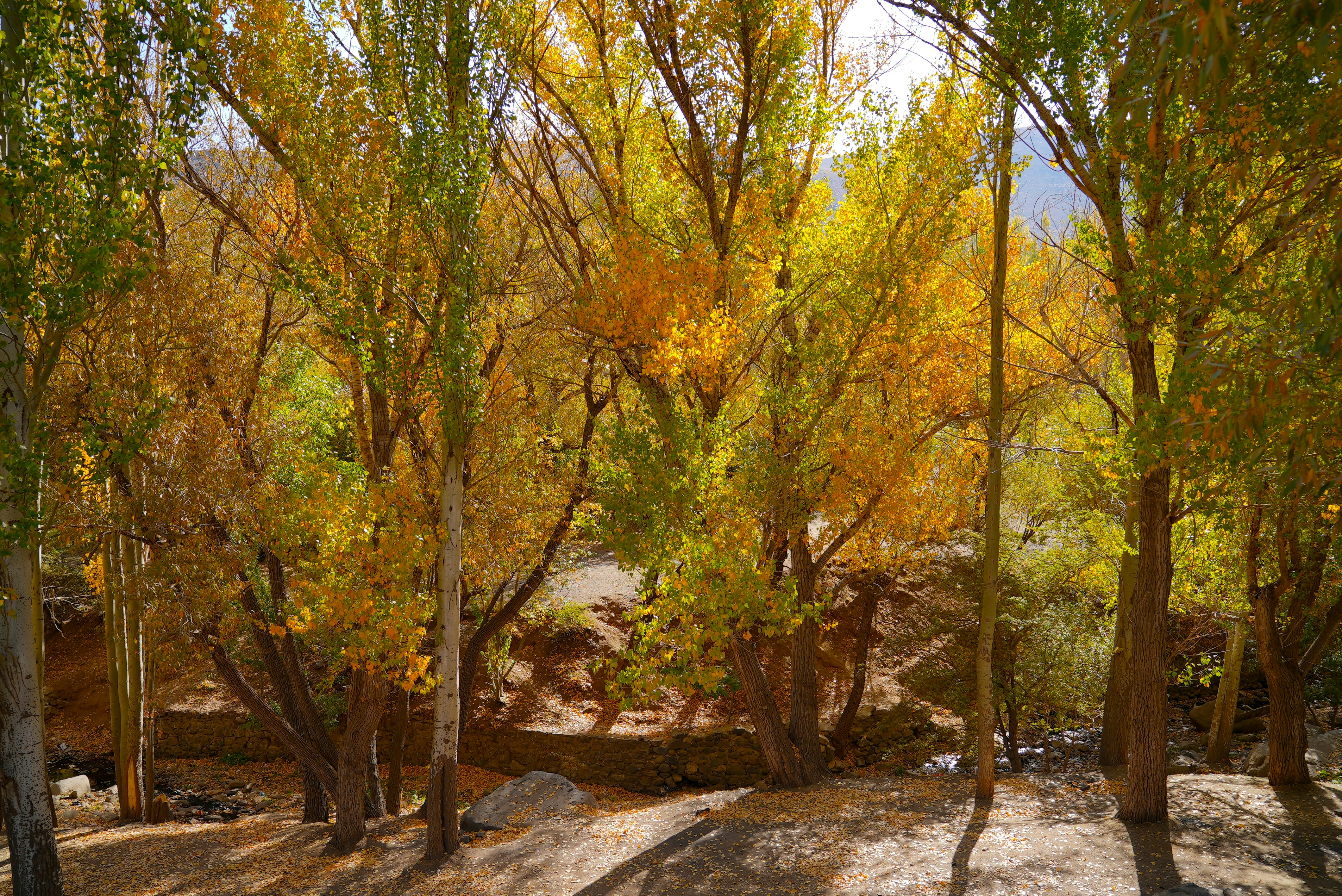 Photo by rafieeartist