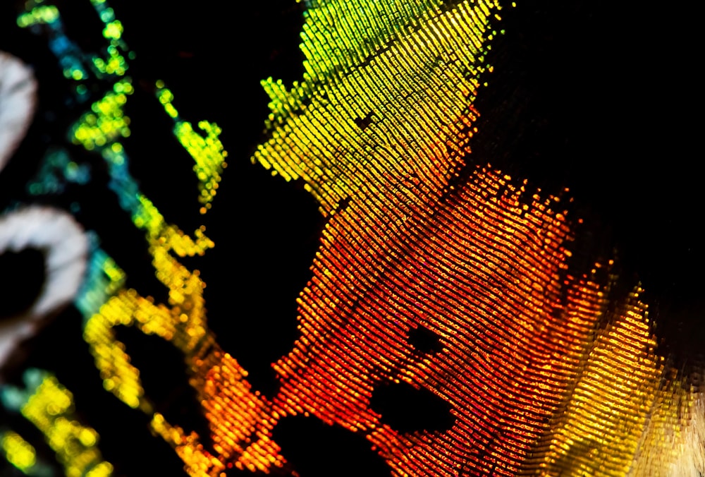Un primer plano de una imagen multicolor de una persona