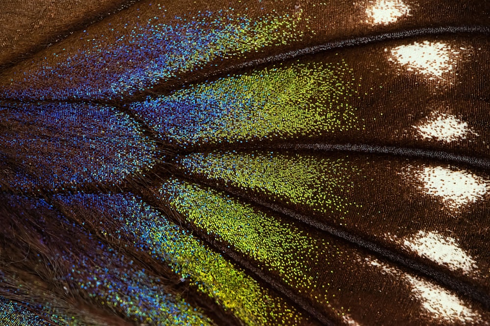 a close up view of a butterfly's wing