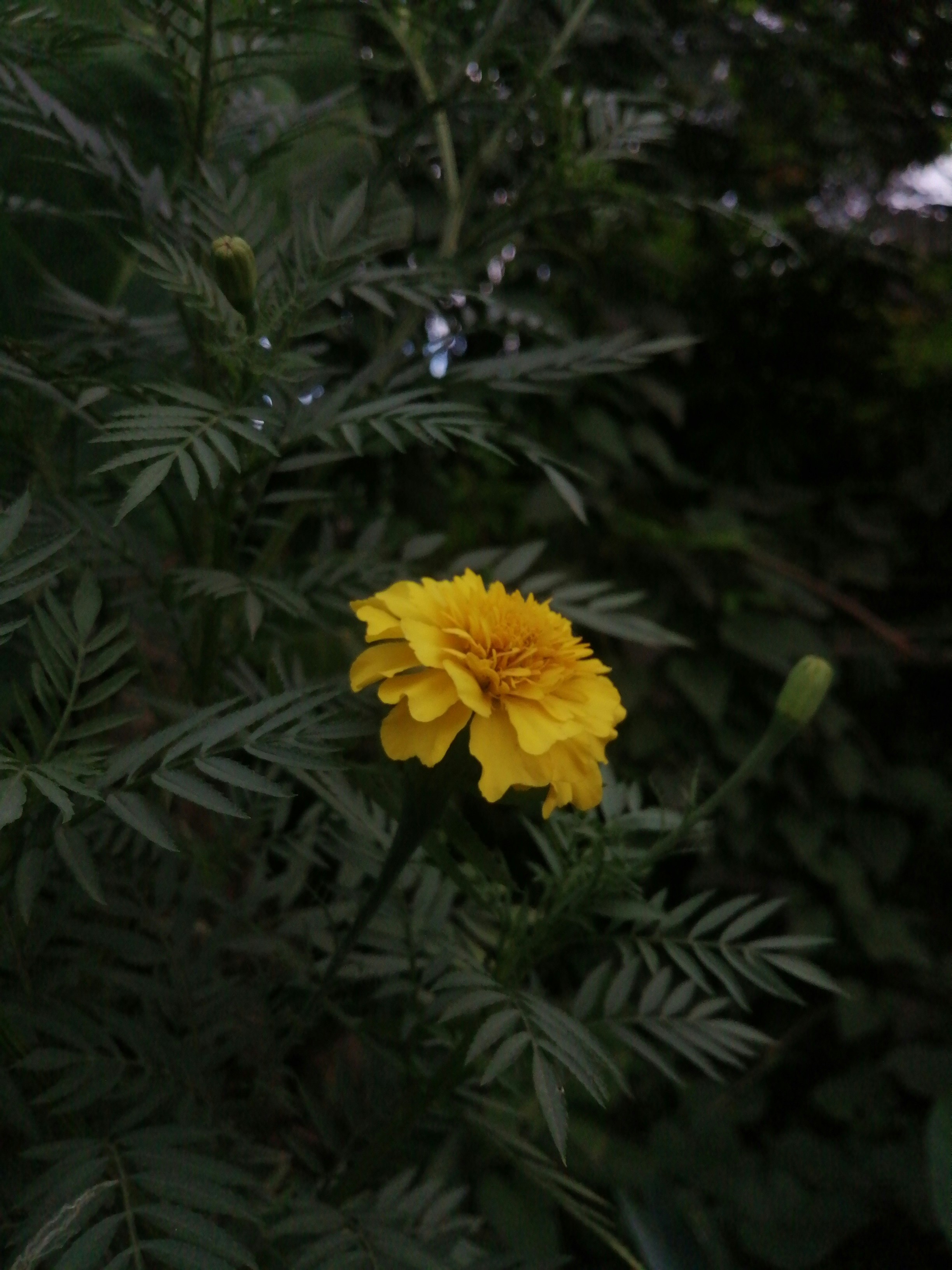 Photo by iiinnntttrrroooo