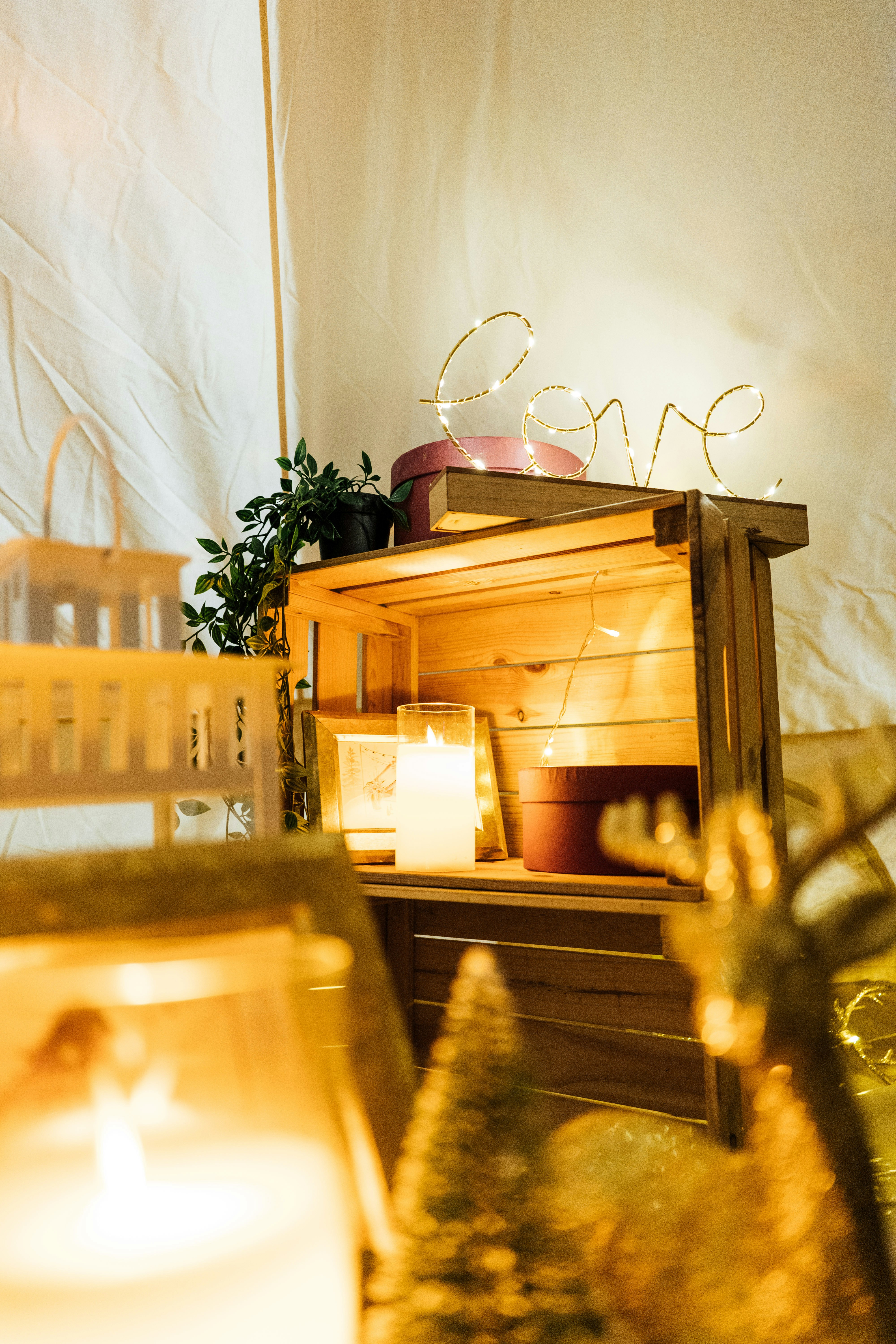 Photo by chuttersnap