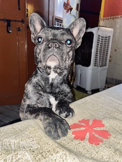 Taco, the French Bulldog, analyzes data on multiple screens in a dimly lit room with realistic textures and high contrast.