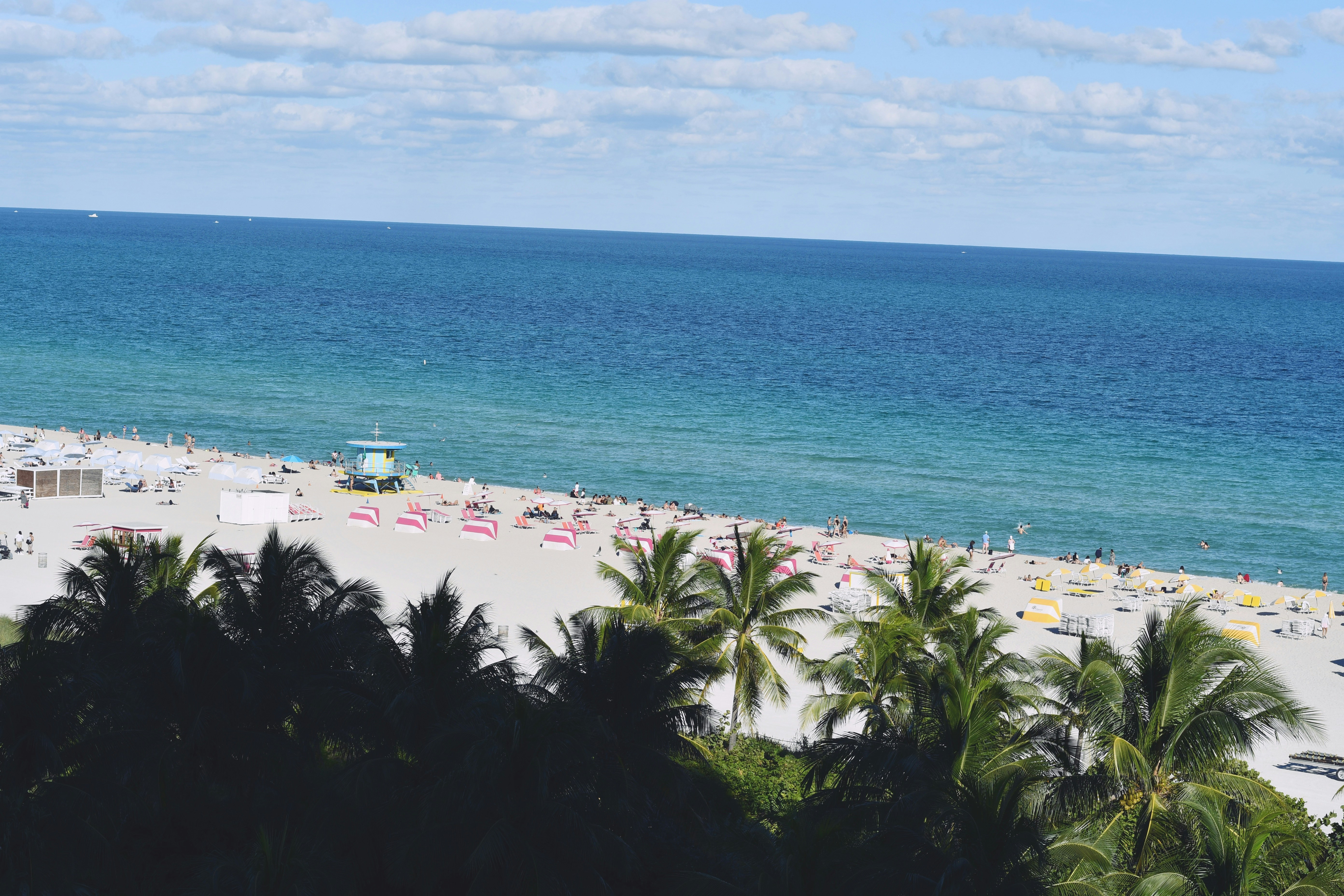 a beach filled with lots of palm trees next to the ocean