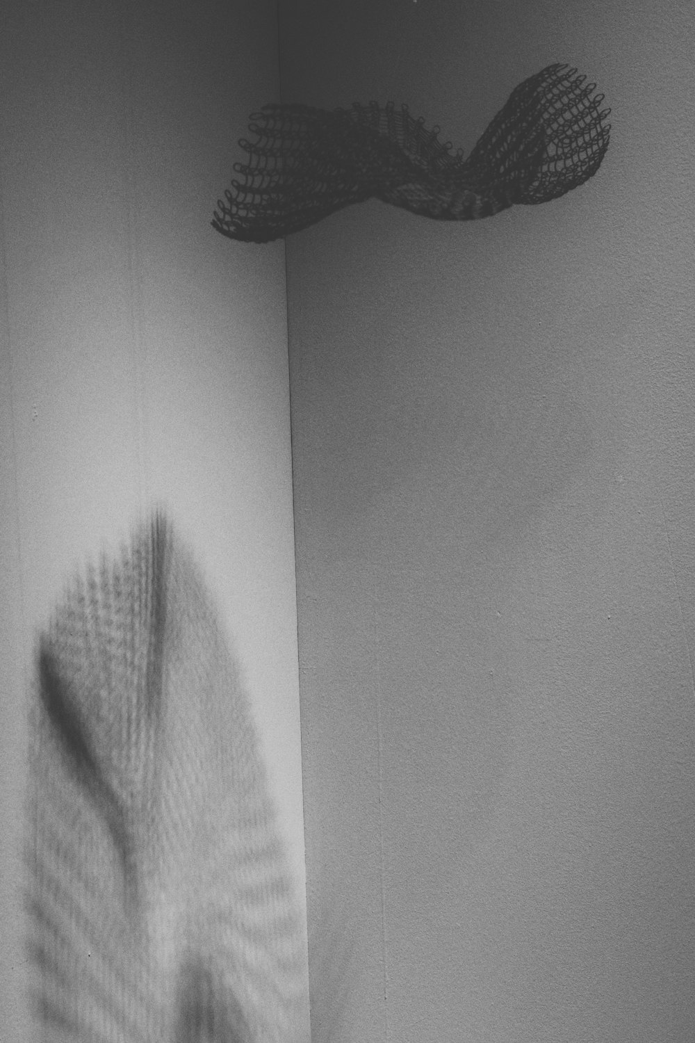 a shadow of a leaf on a wall