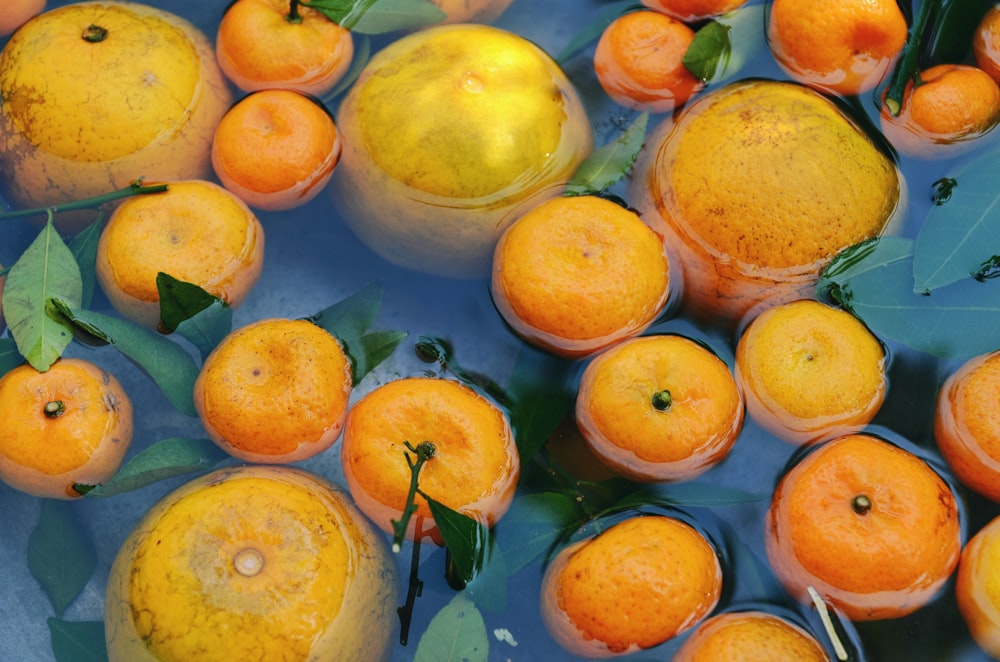 a group of oranges floating in a pool of water