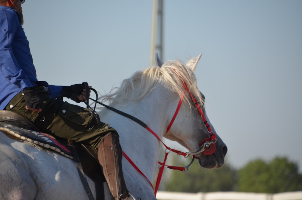 a person riding a white horse on a field