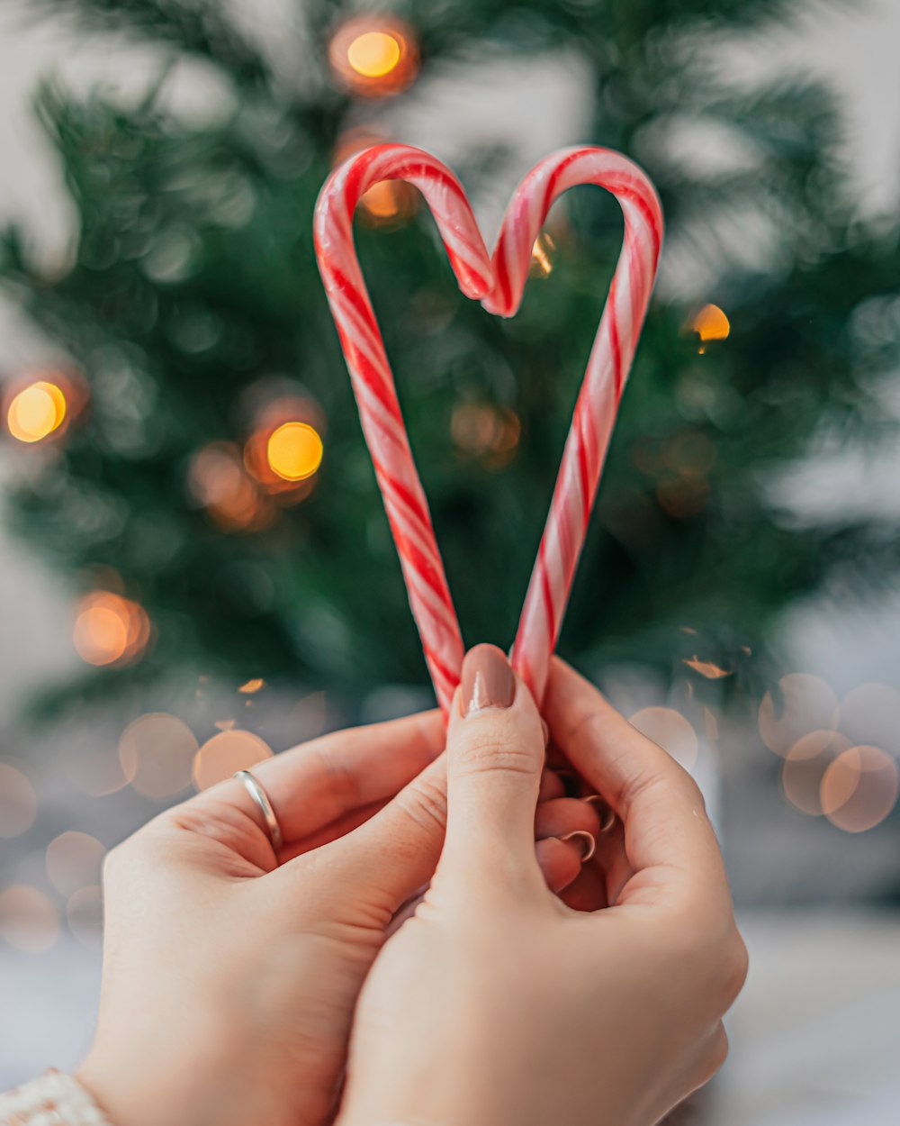 a person holding a candy cane in front of a christmas tree