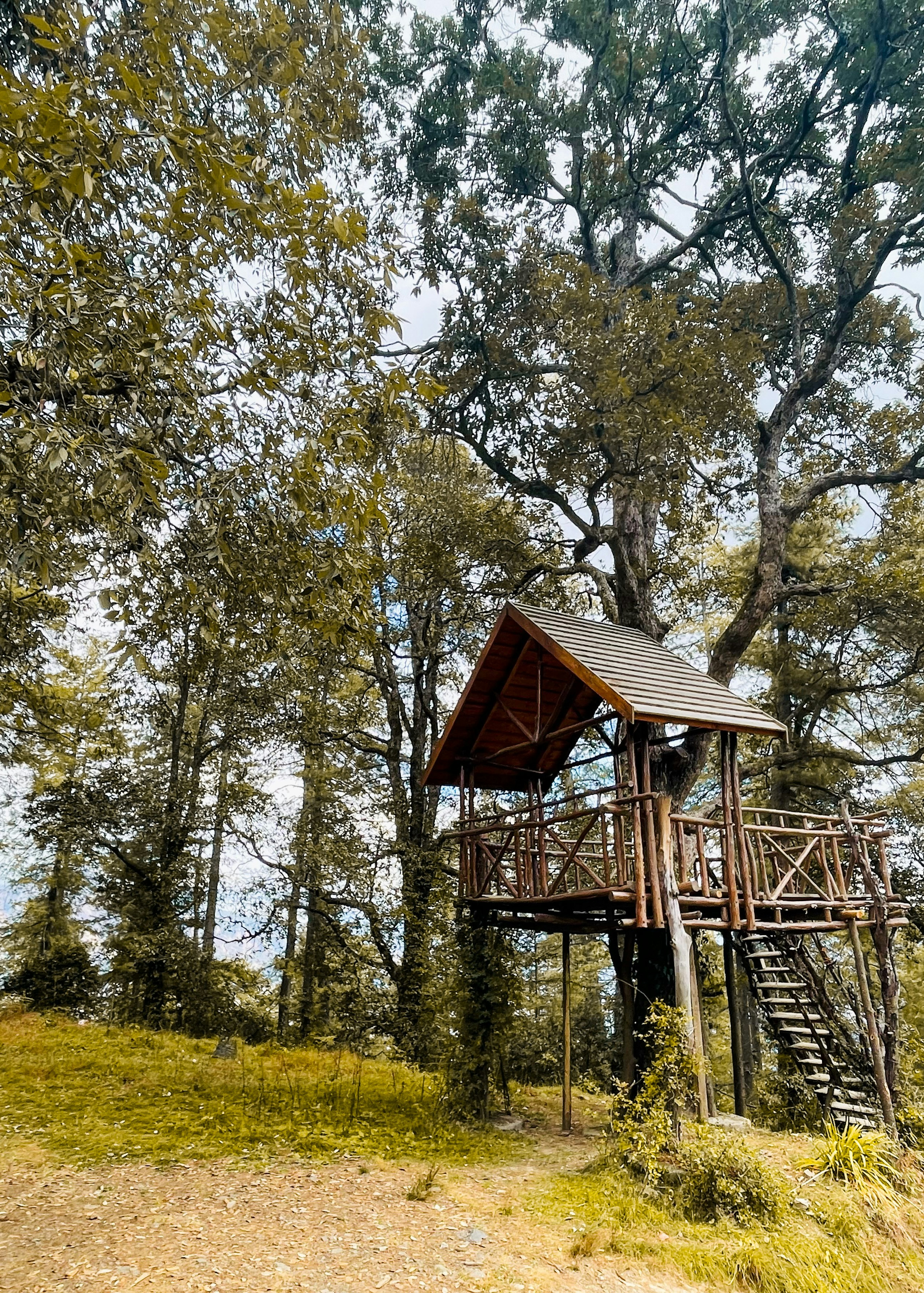 Photo by upbeatnomad