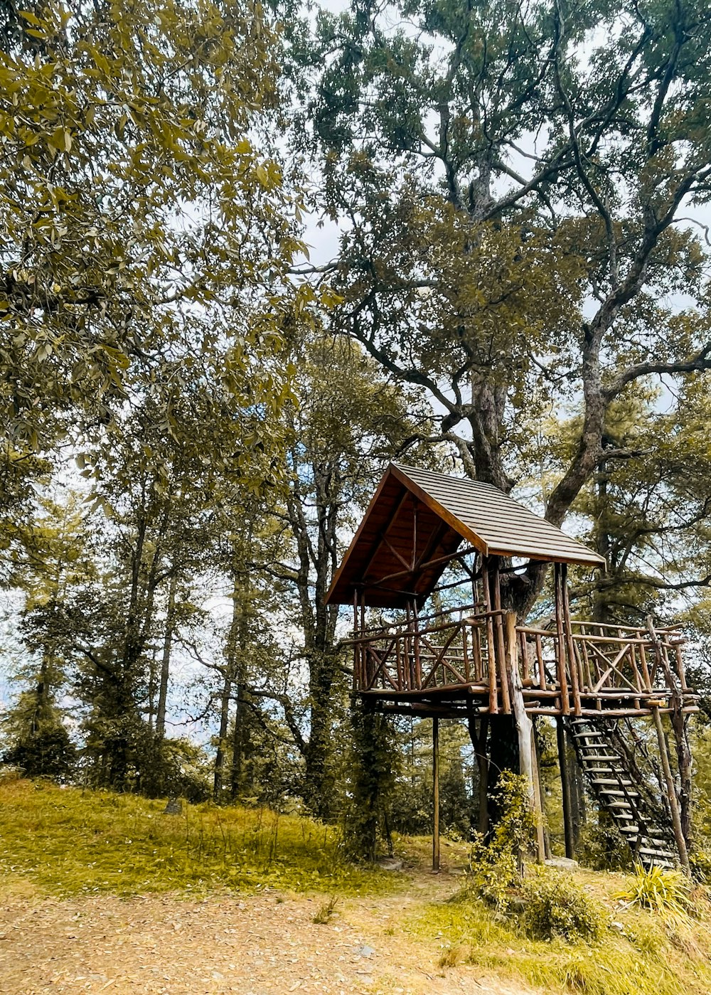 a tree house in the middle of a forest