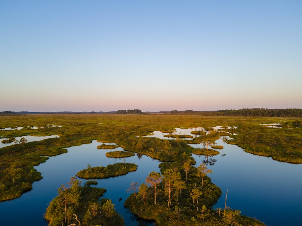 un grand plan d’eau entouré d’arbres