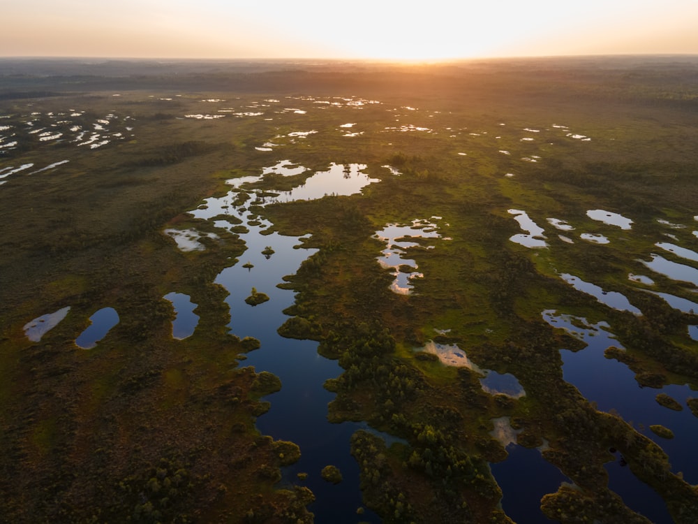 Il sole sta tramontando su una zona paludosa