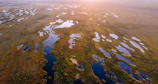 A serene aerial view of a vast Latvian peatland at dawn, mist rising over the wetlands.