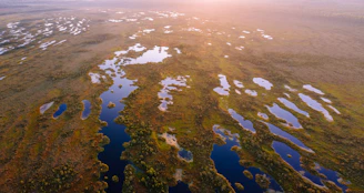 A serene aerial view of a vast Latvian peatland restoration site under soft morning light.