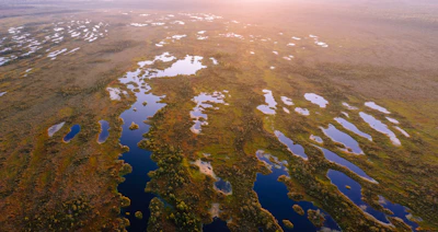 A serene aerial view of a vast Latvian peatland restoration site under soft morning light.