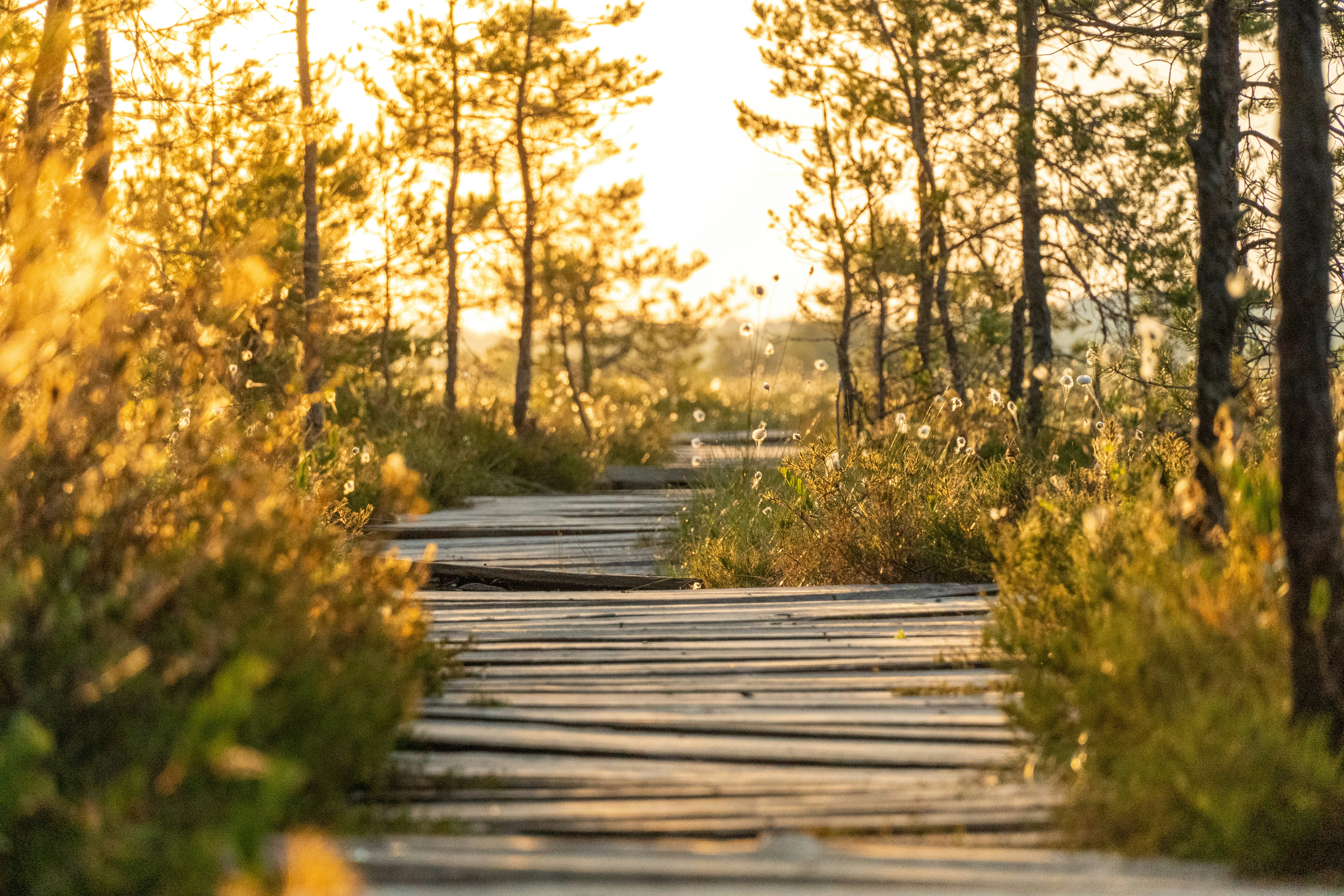 Photo by janekvaldsalu