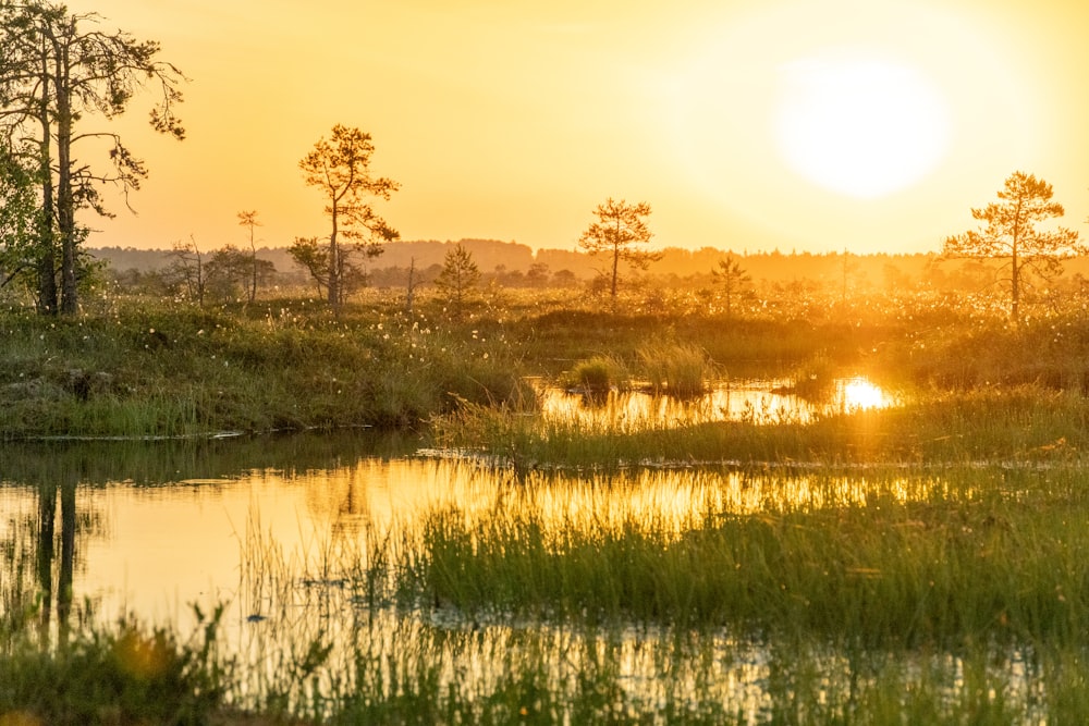 die Sonne geht über einem kleinen Teich unter